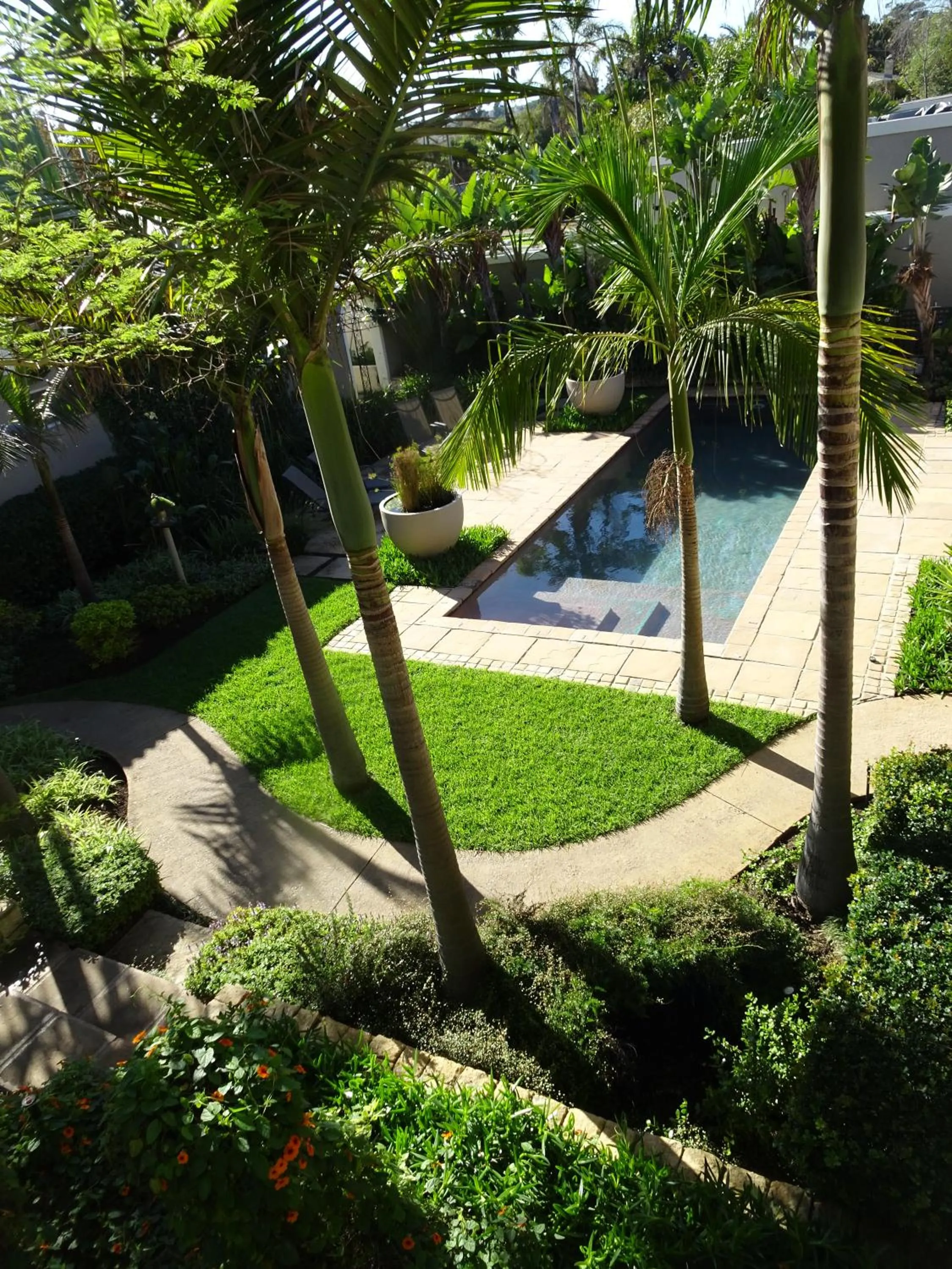 Garden in African Palm Cottage and Guesthouse