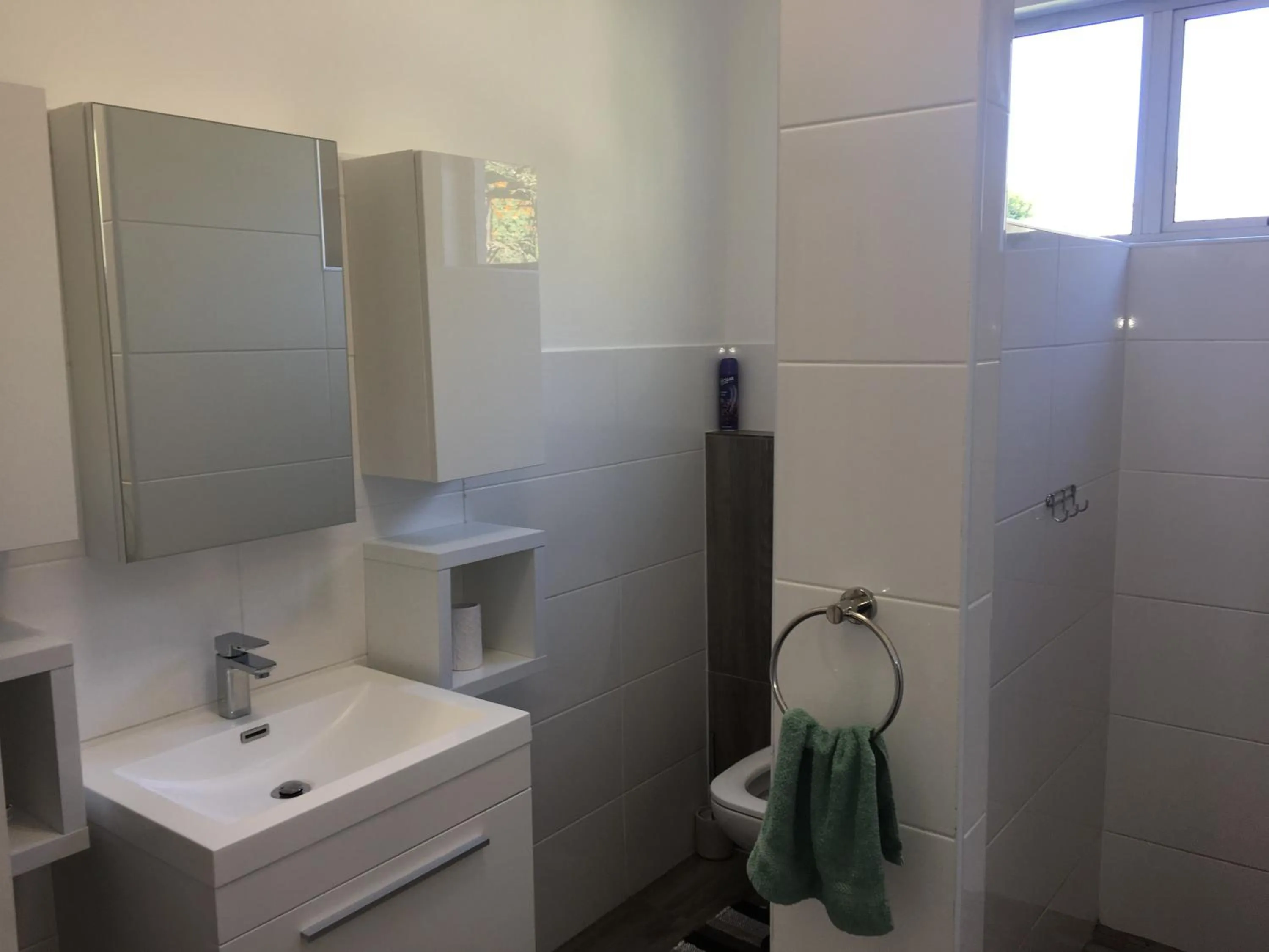 Bathroom in African Palm Cottage and Guesthouse