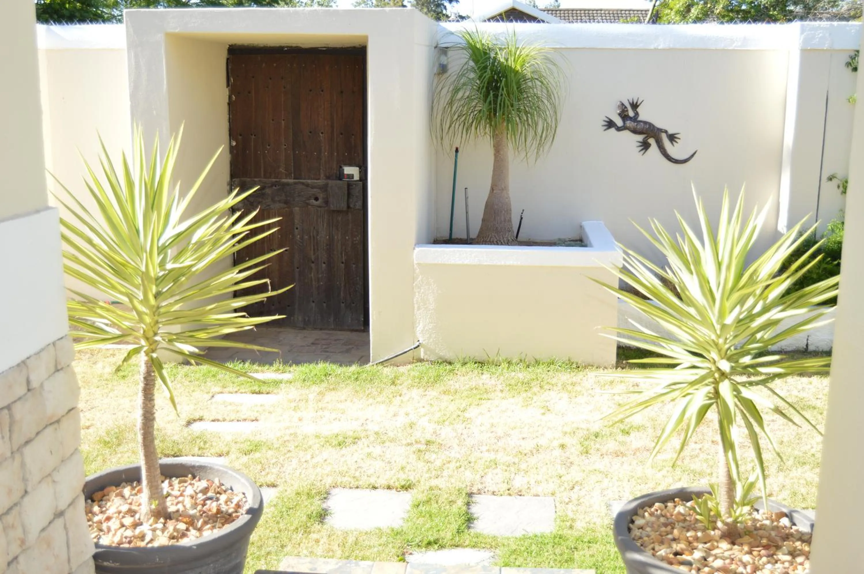 Garden in African Palm Cottage and Guesthouse