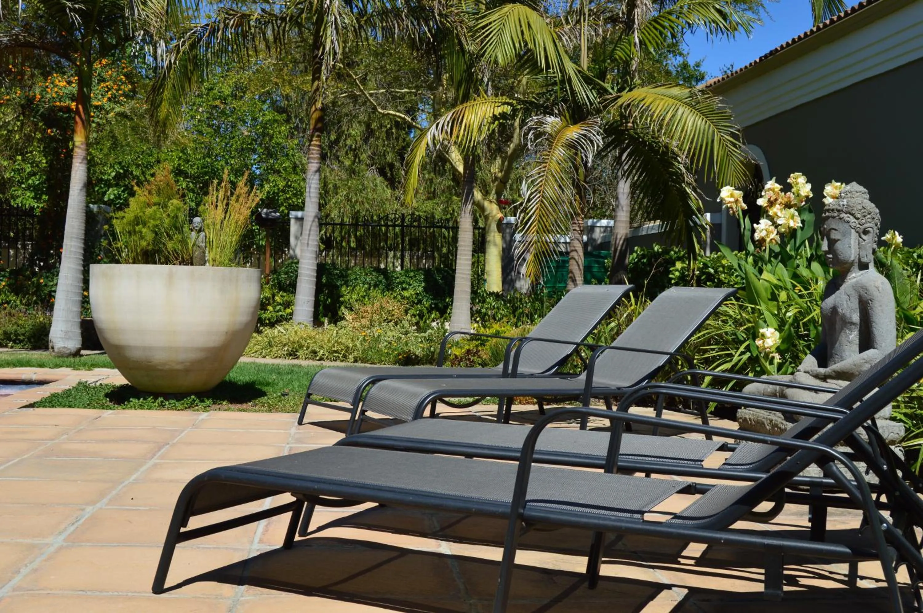 Swimming pool in African Palm Cottage and Guesthouse