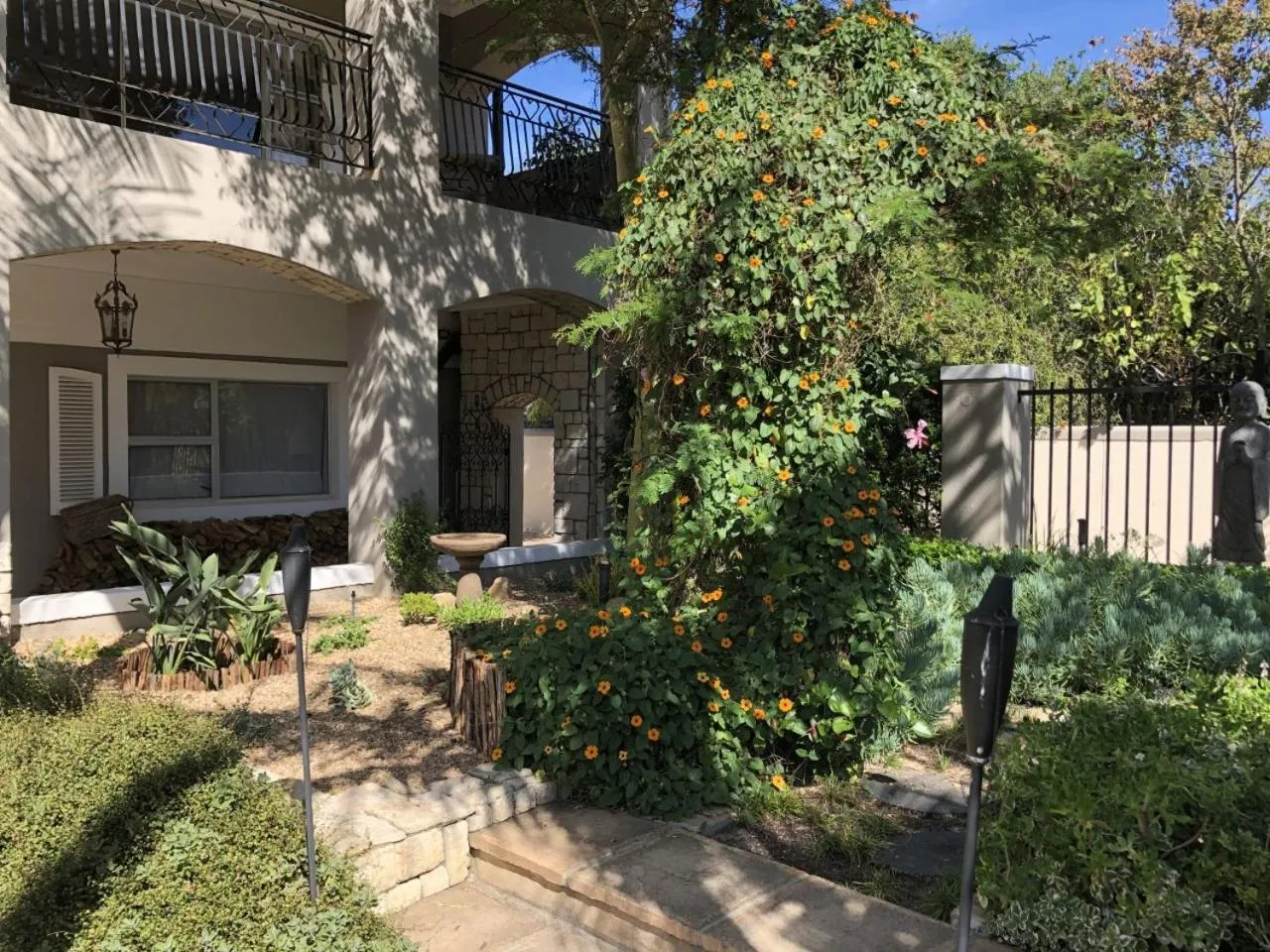Garden in African Palm Cottage and Guesthouse