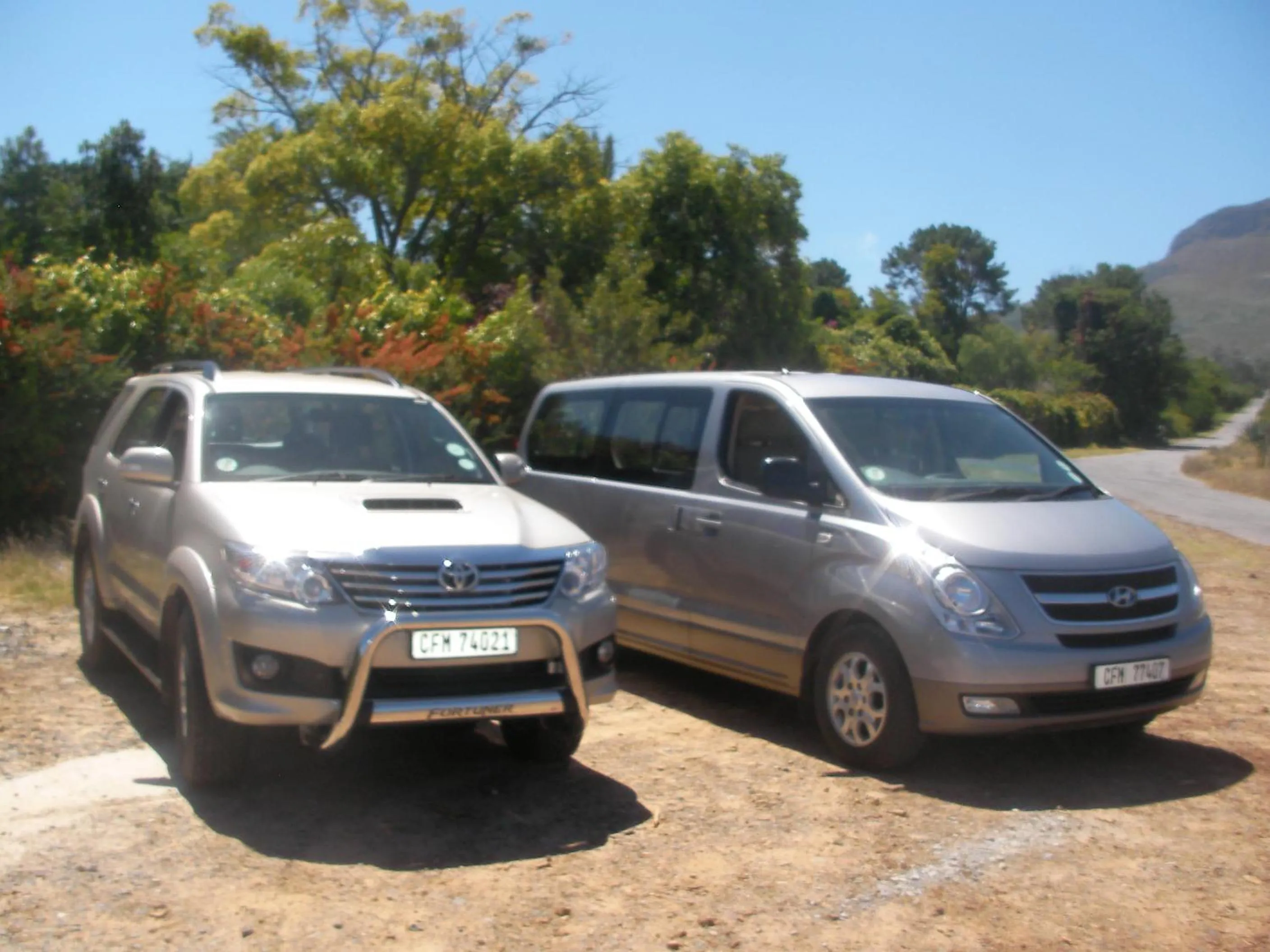 Activities in African Palm Cottage and Guesthouse