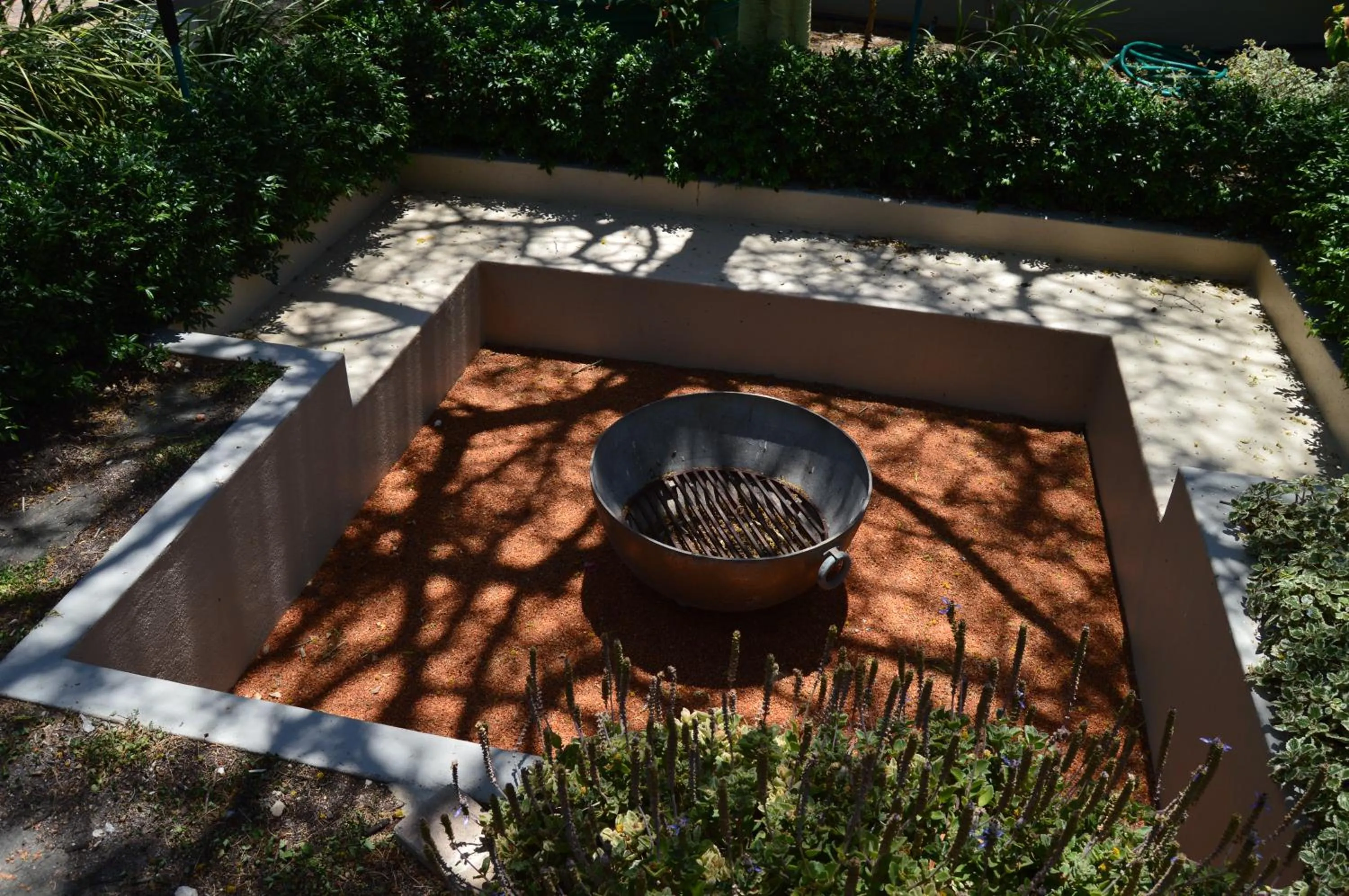 Garden in African Palm Cottage and Guesthouse