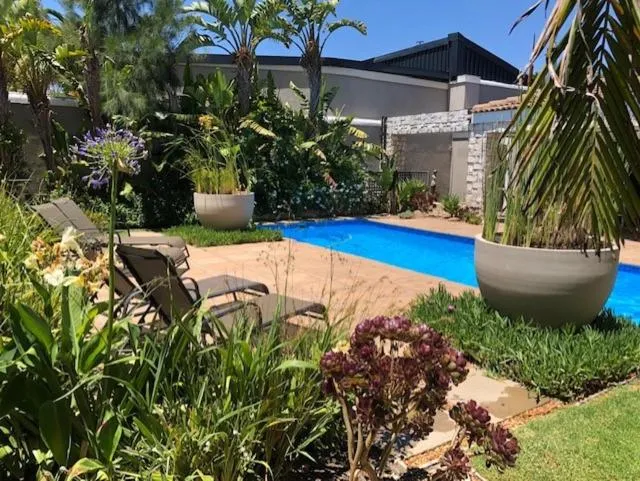 Swimming pool in African Palm Cottage and Guesthouse