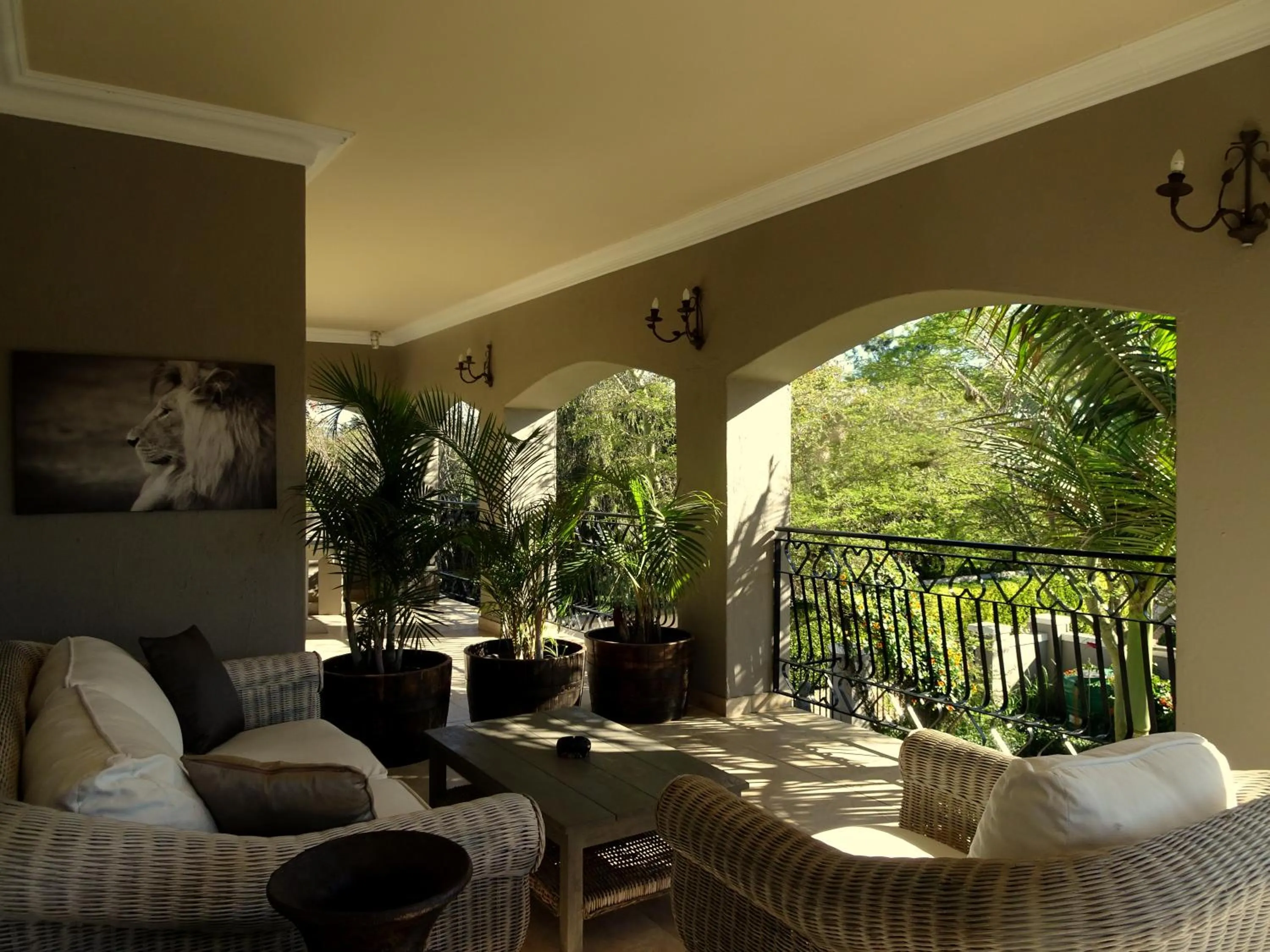 Patio in African Palm Cottage and Guesthouse