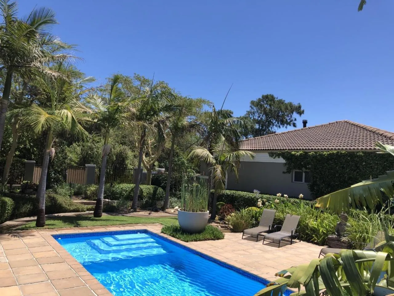 Swimming pool in African Palm Cottage and Guesthouse