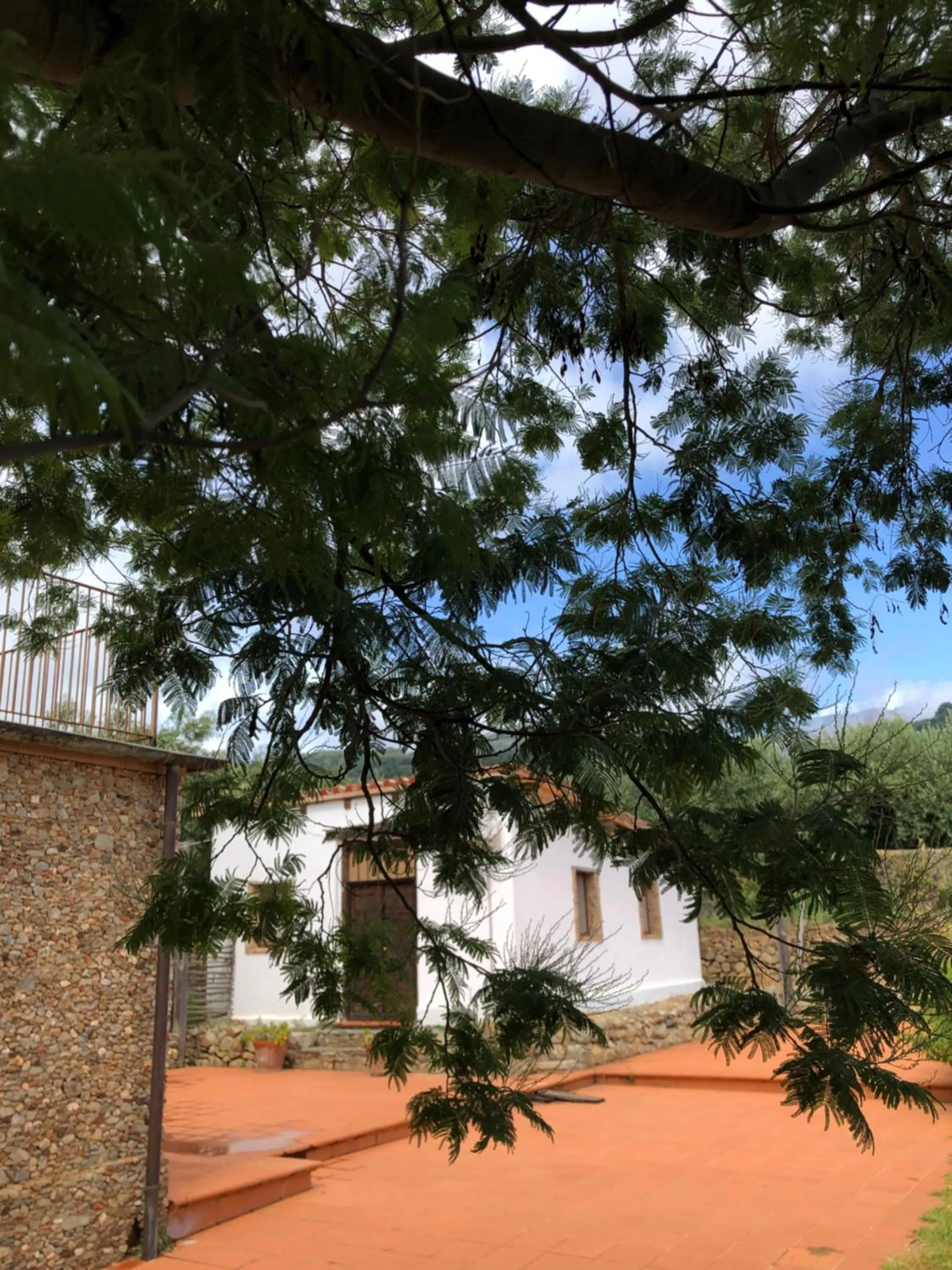 Garden in Lo sguardo sul golfo