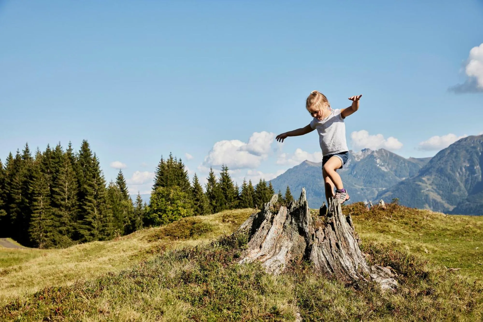 Summer in Appartement-Pension Kendlbacher