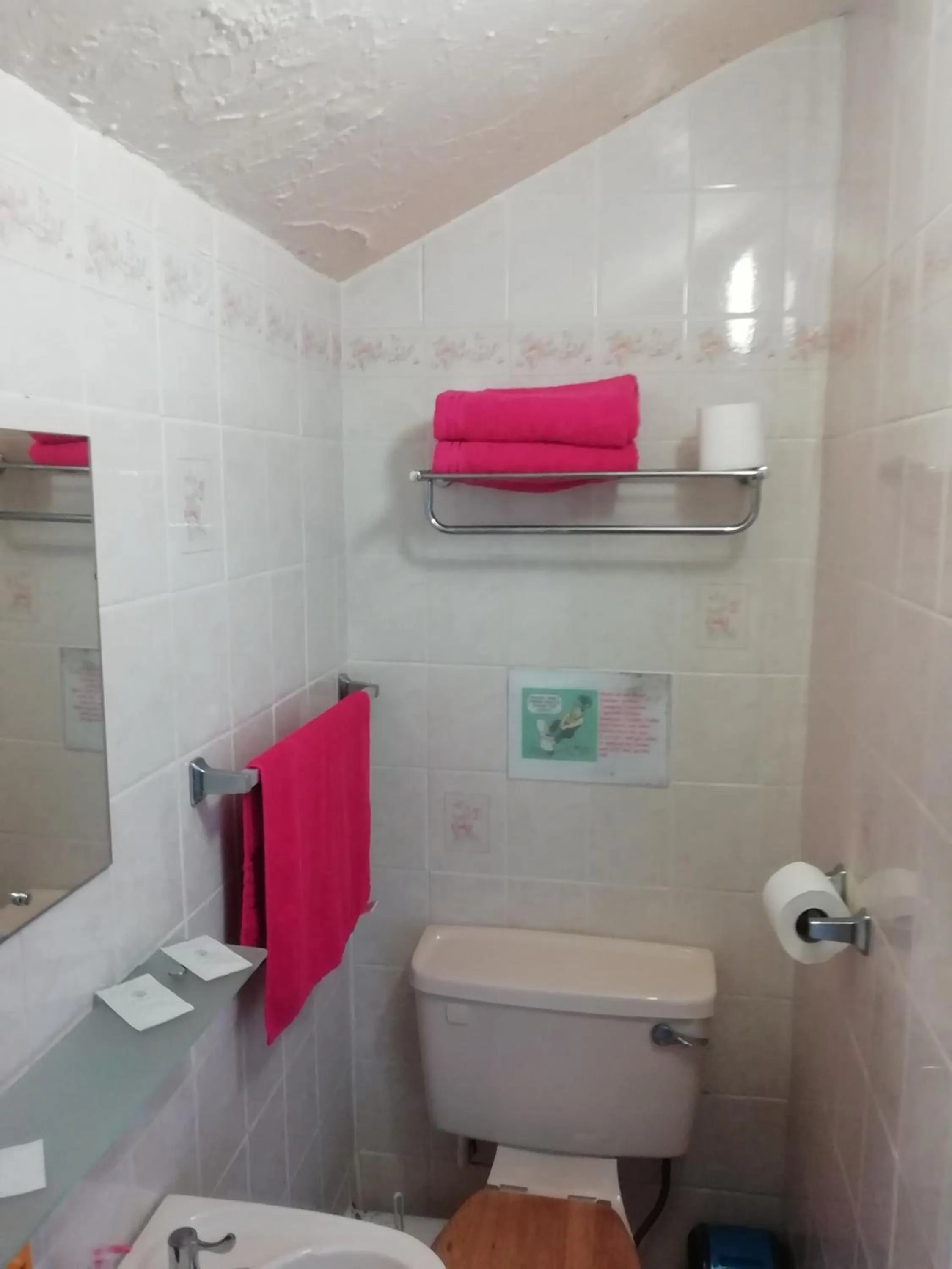 Bathroom in The Shining Diamond