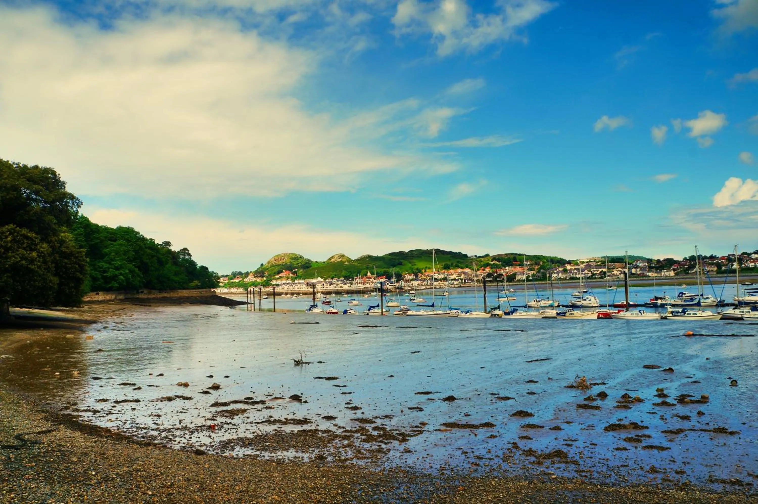 Natural landscape in YHA Conwy