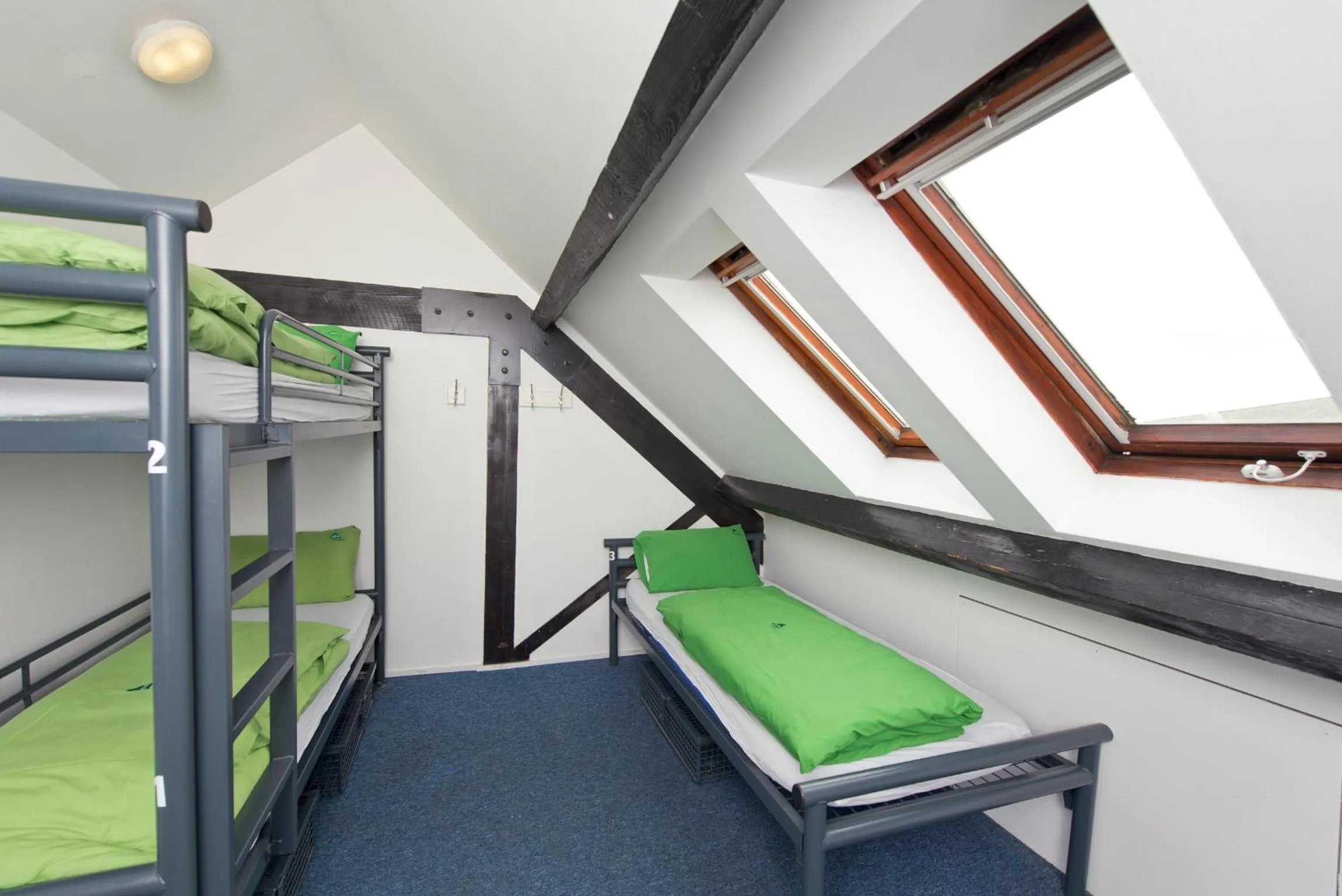 Photo of the whole room, Bed in YHA Bristol