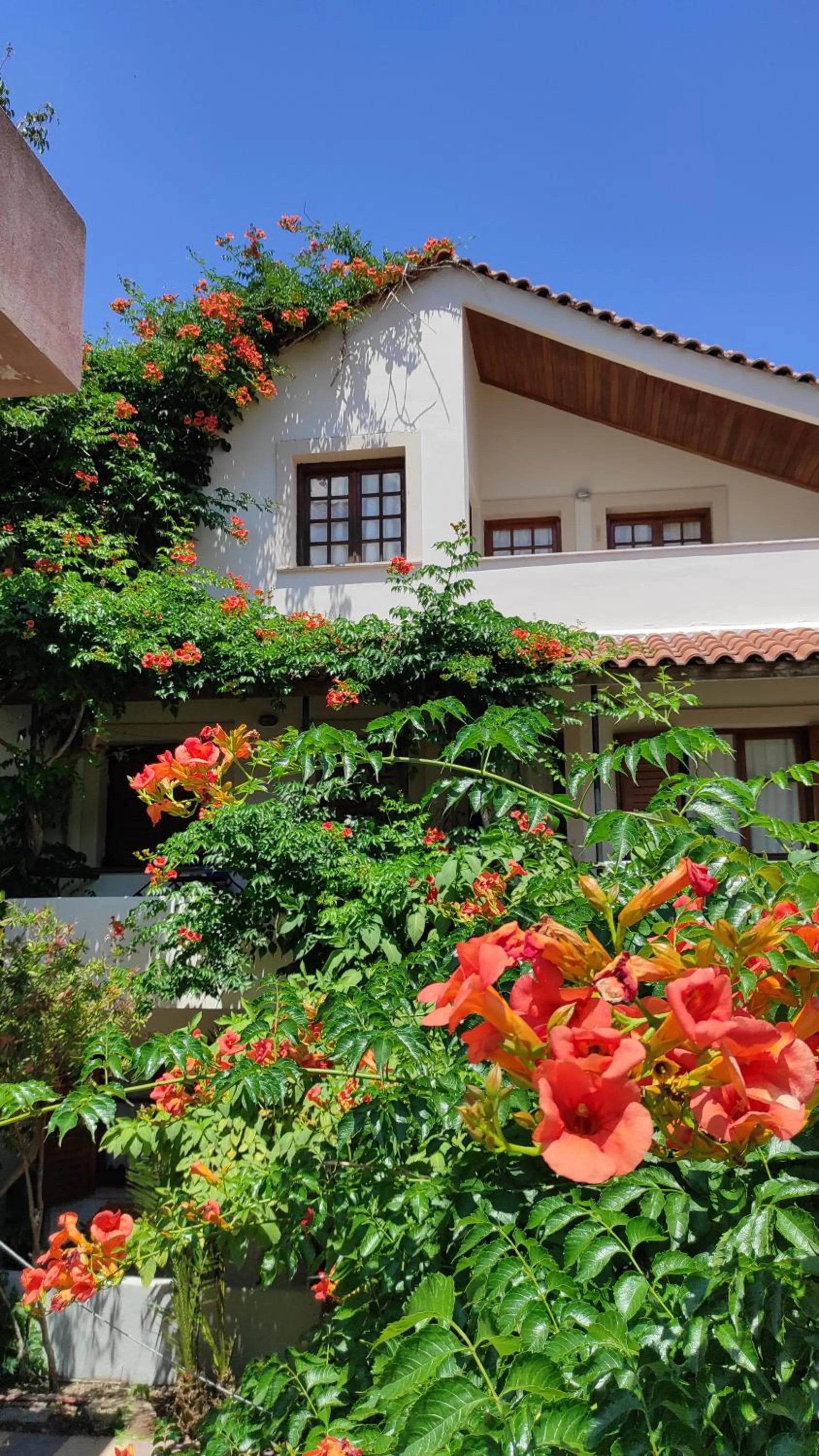 Property building in Staggia Studios