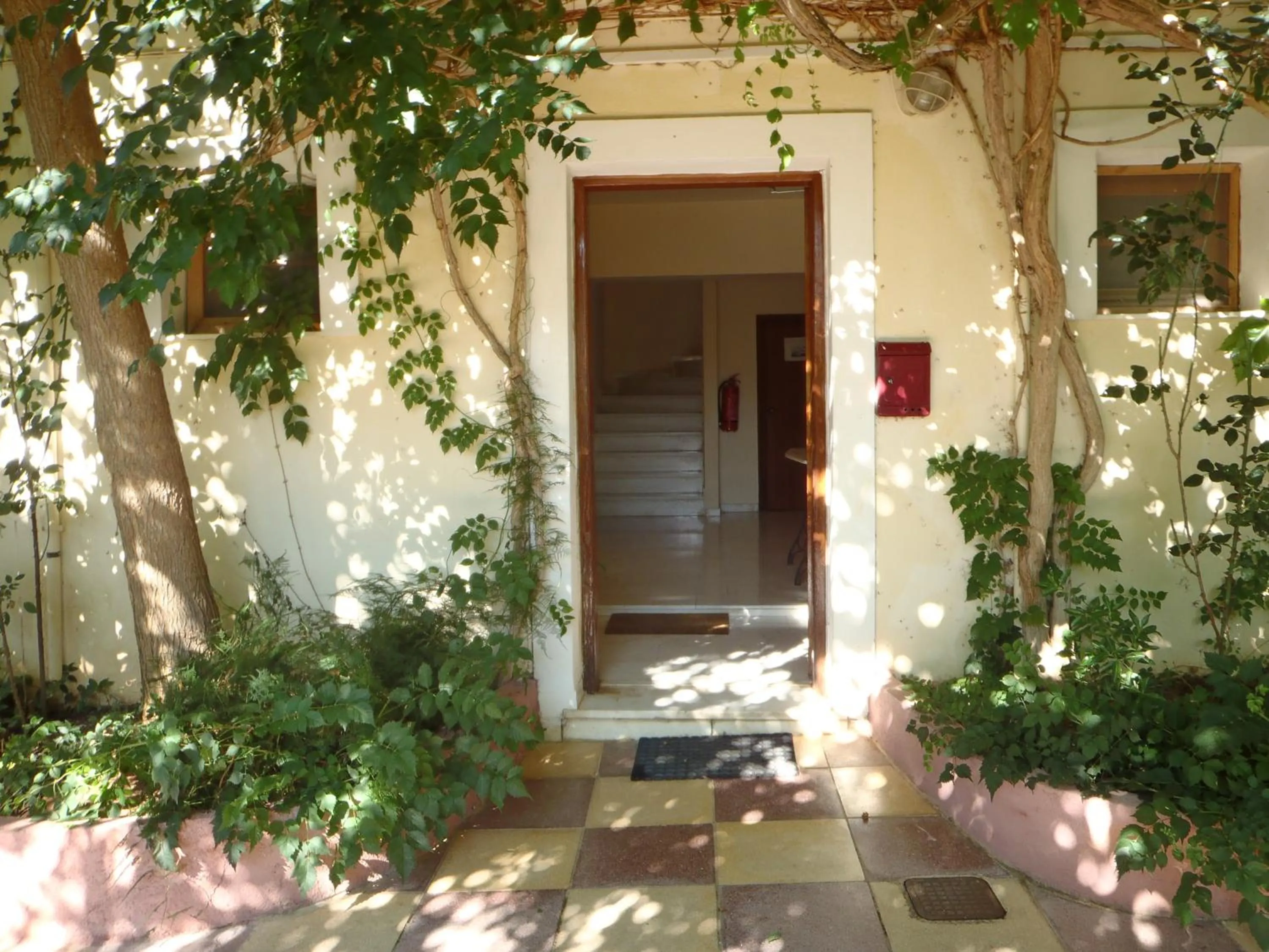 Decorative detail in Staggia Studios