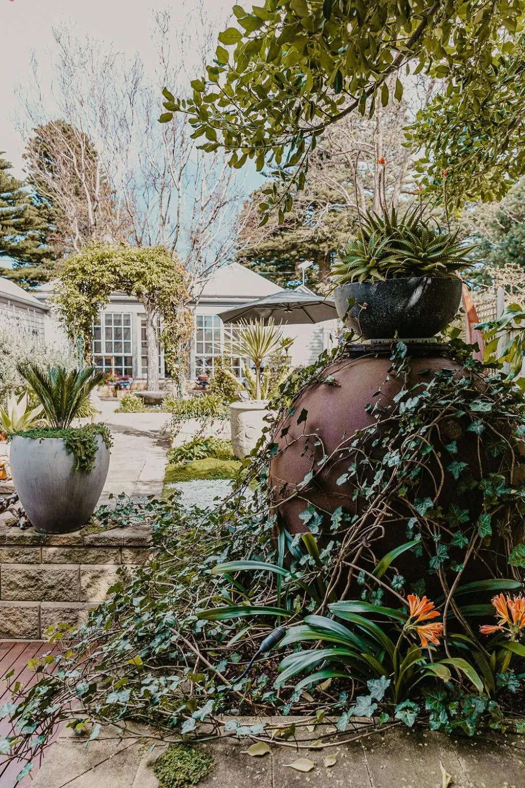 Garden view in Edge17 Waterfront Apartment, plus Cottage with Garden View - Port Fairy