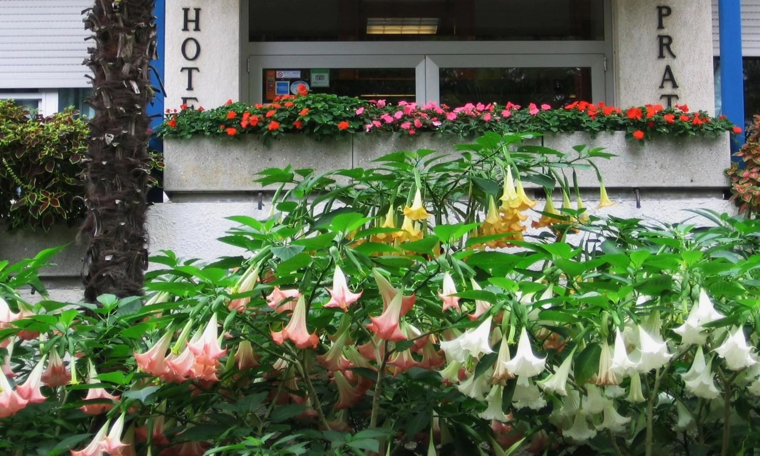 Facade/entrance in Hotel Prati