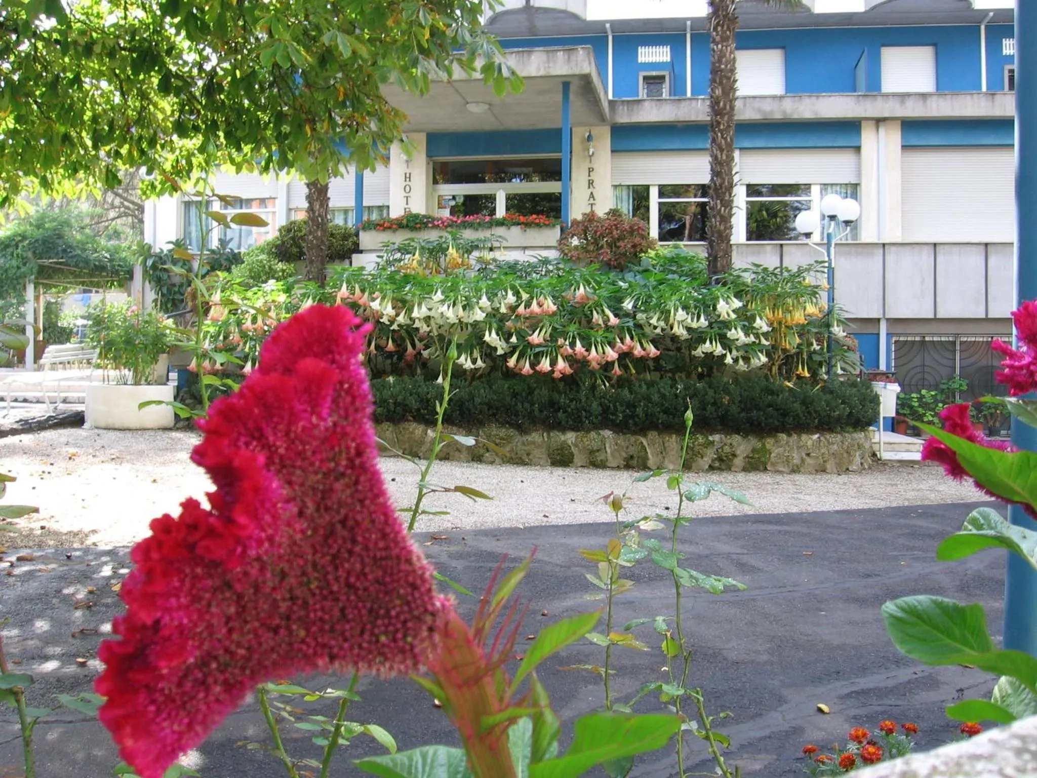 Garden in Hotel Prati