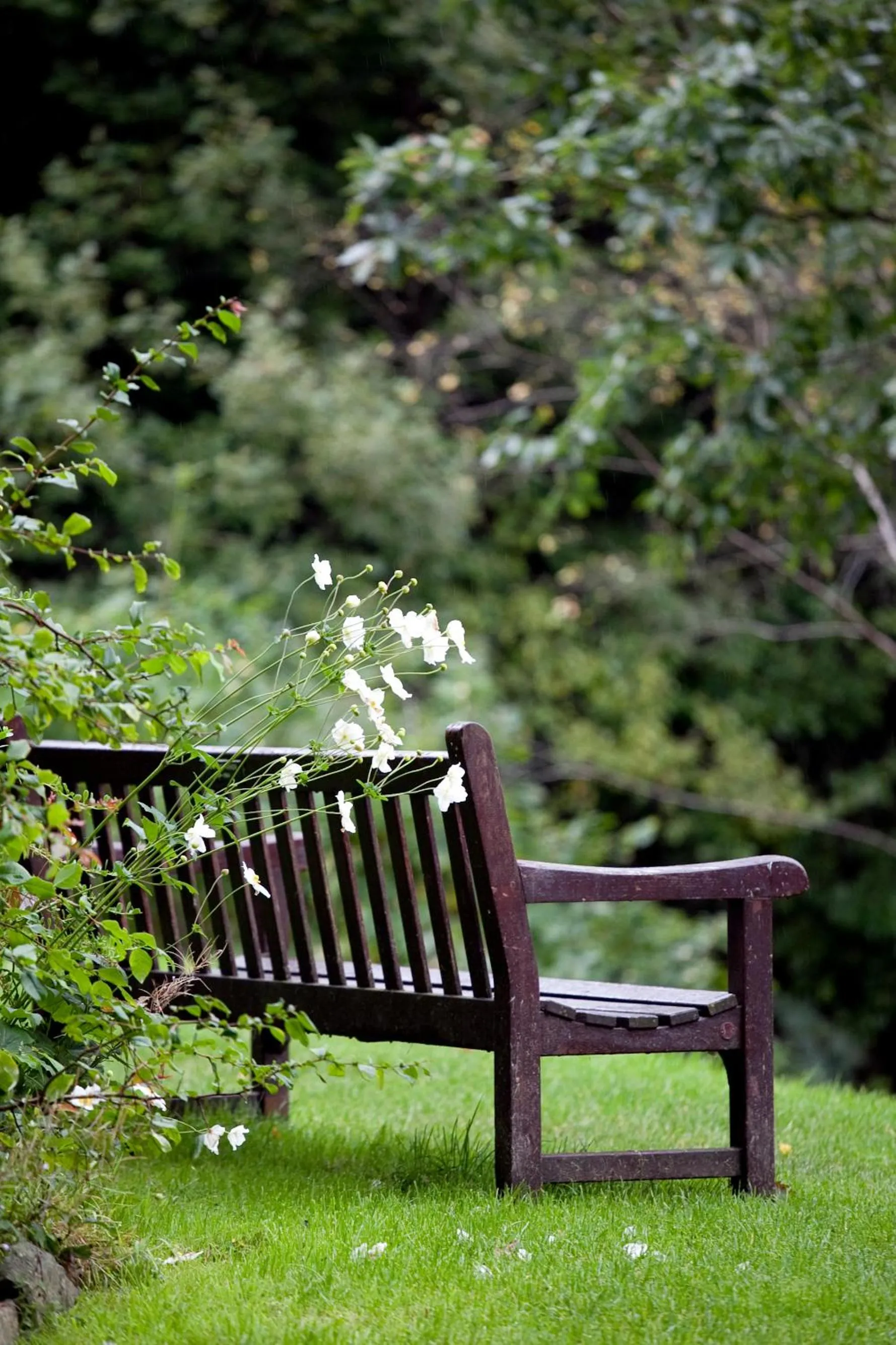 Garden in YHA Grasmere Butharlyp Howe