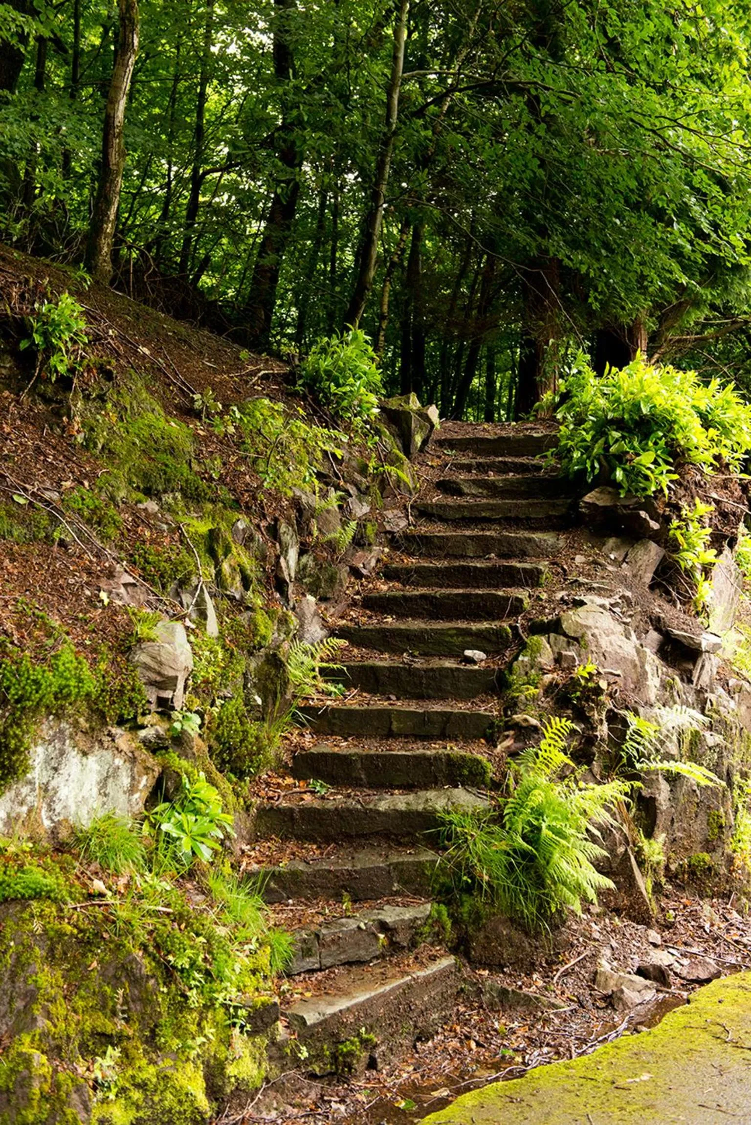 Other in YHA Grasmere Butharlyp Howe