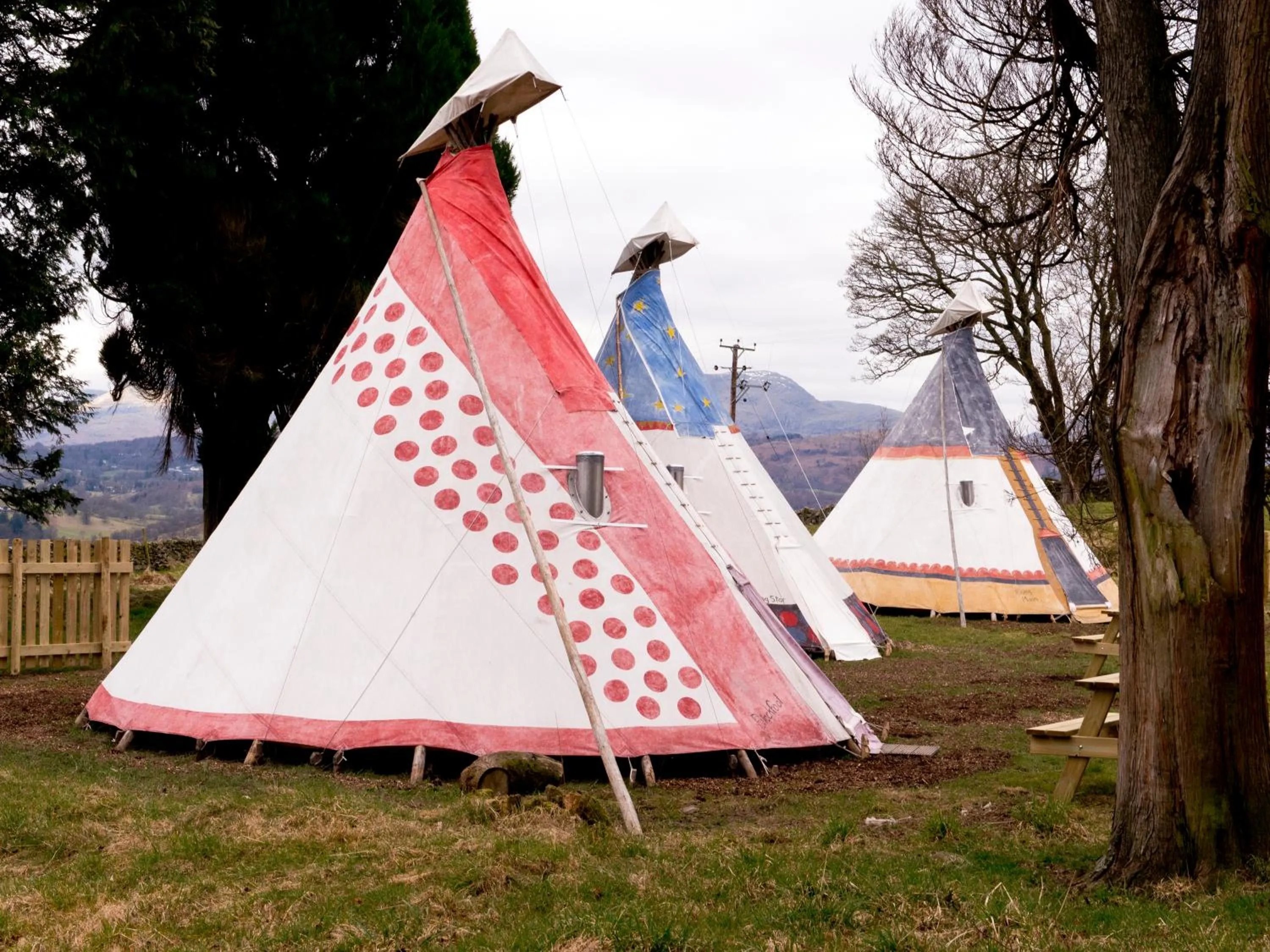 Natural landscape in YHA Windermere