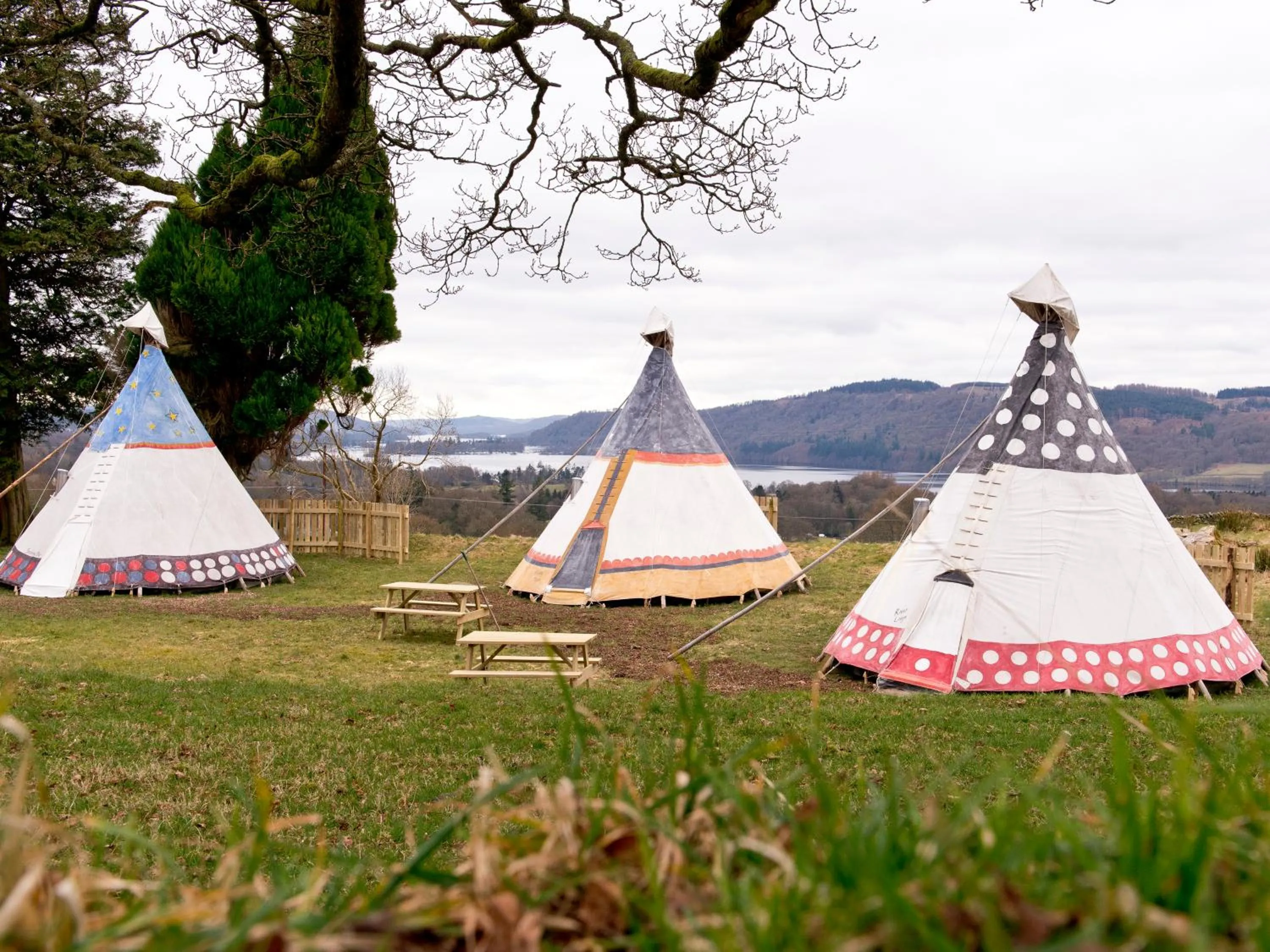 Natural landscape in YHA Windermere