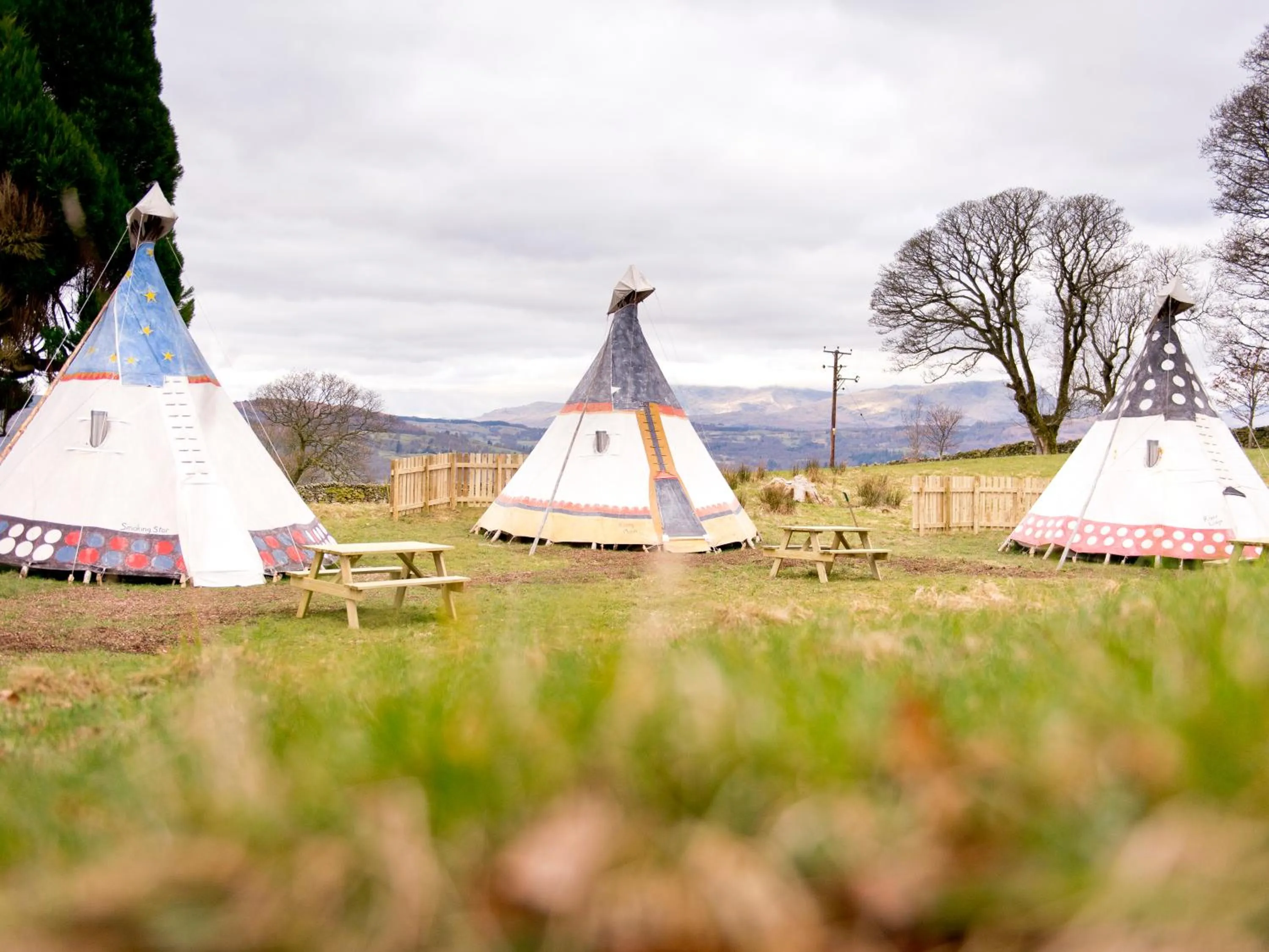 Natural landscape in YHA Windermere