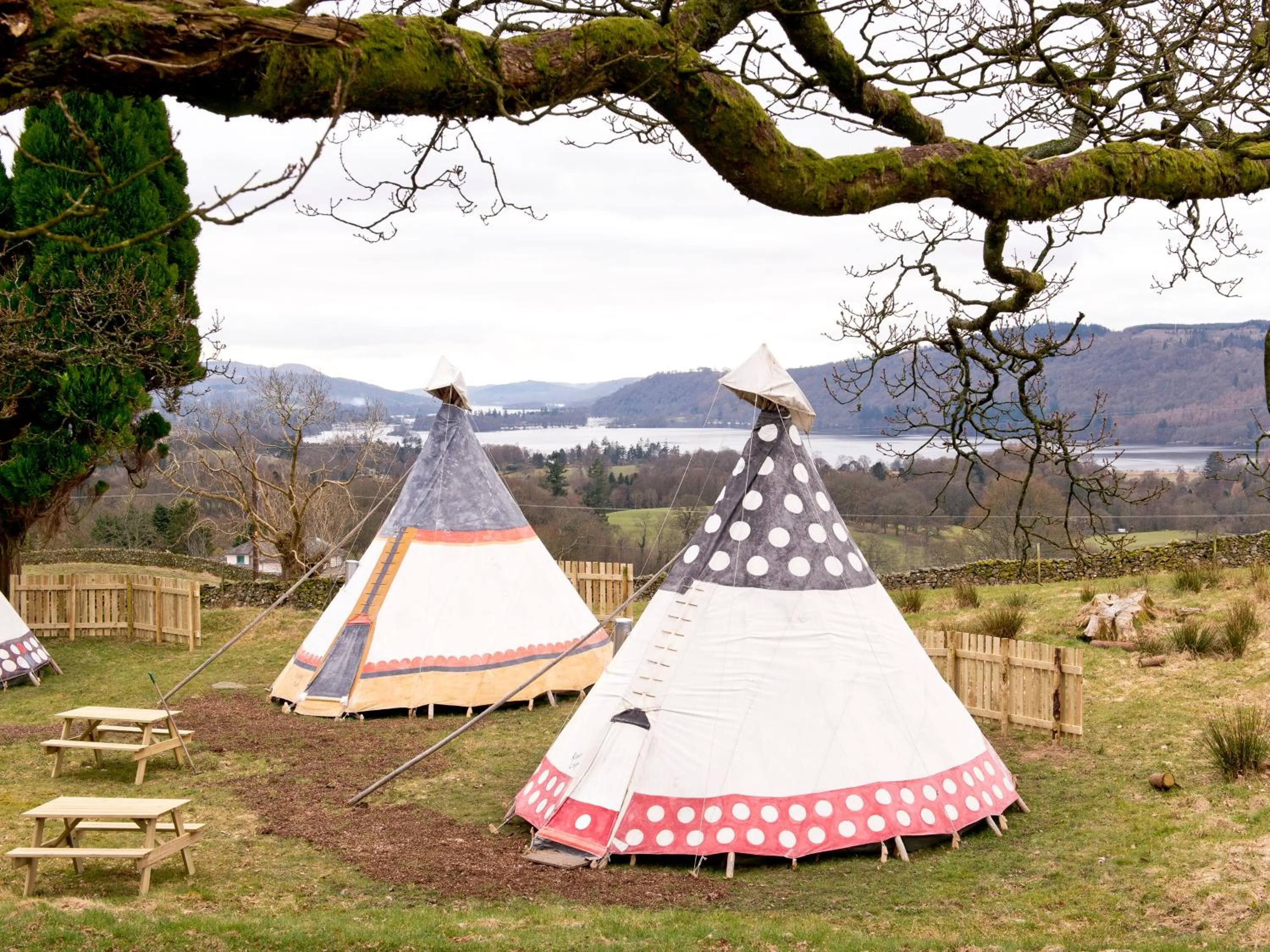 Natural landscape in YHA Windermere