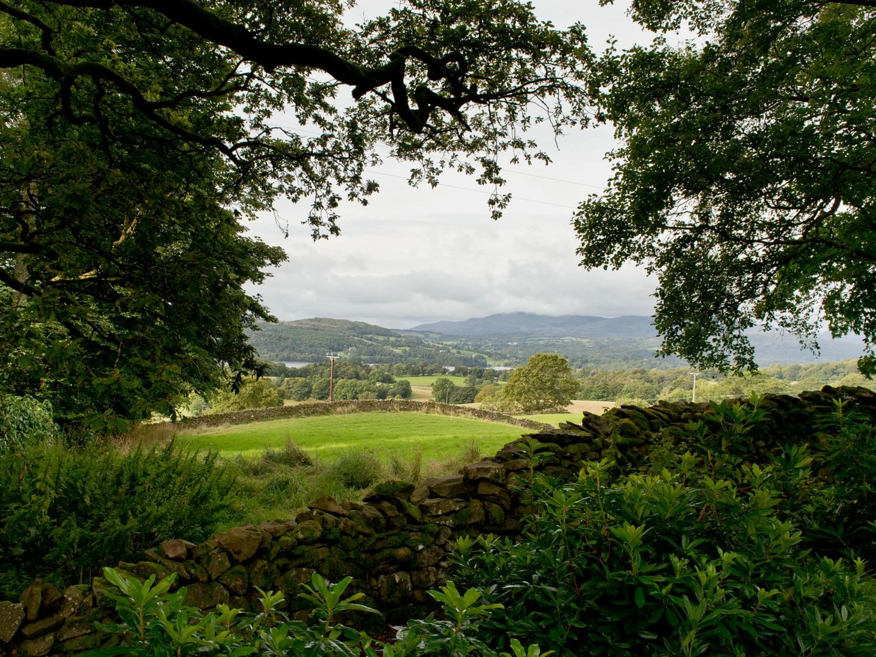 Natural landscape in YHA Windermere