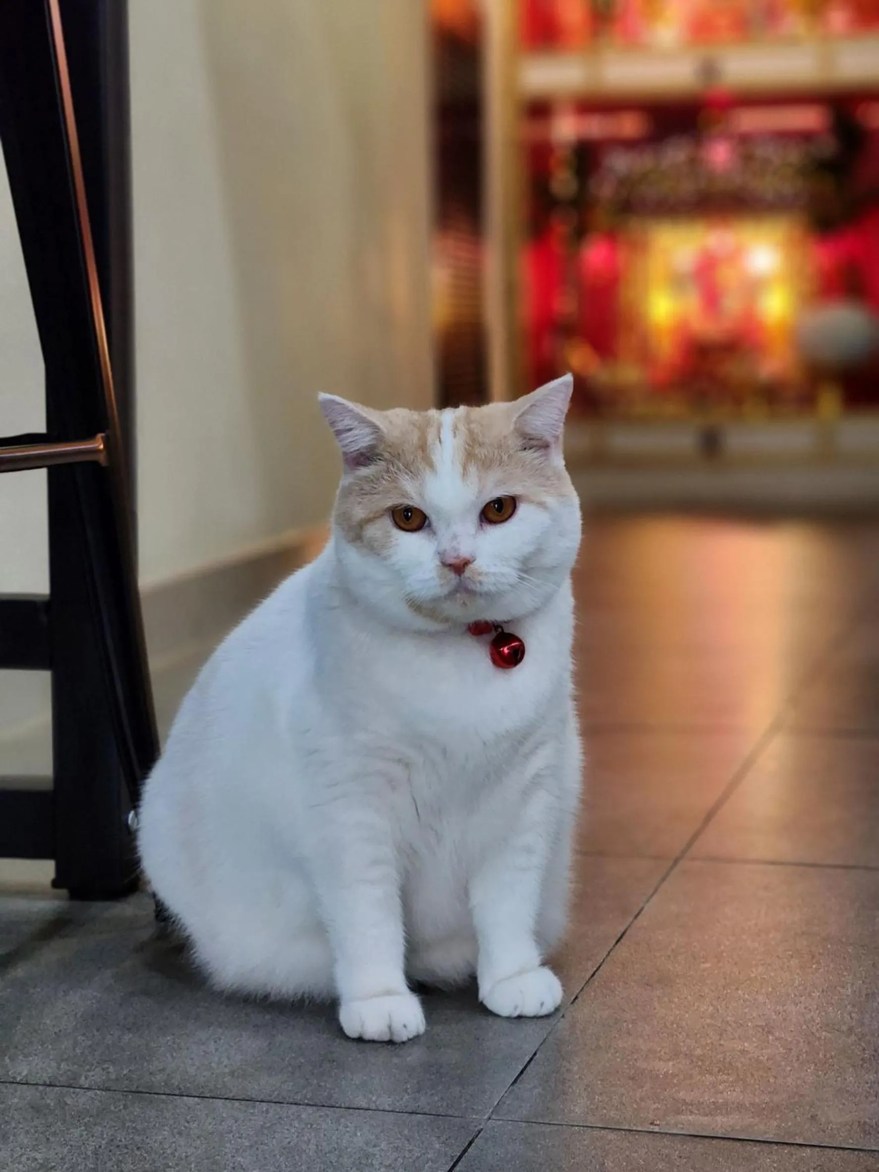 Double D Rooms & Cafe