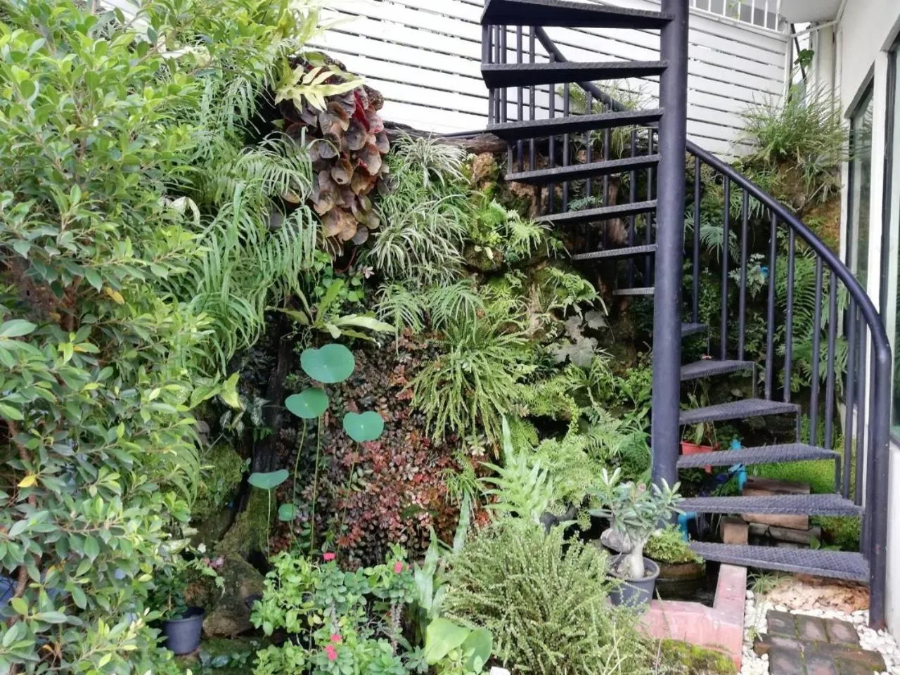 Double D Rooms & Cafe