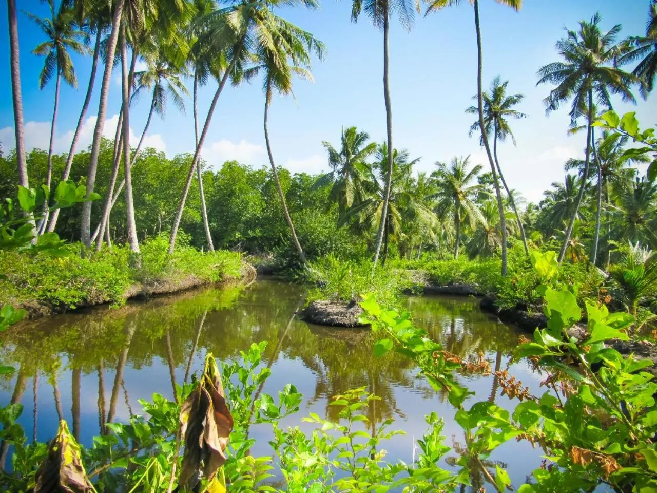 Natural landscape in Milkyway Holiday Resort