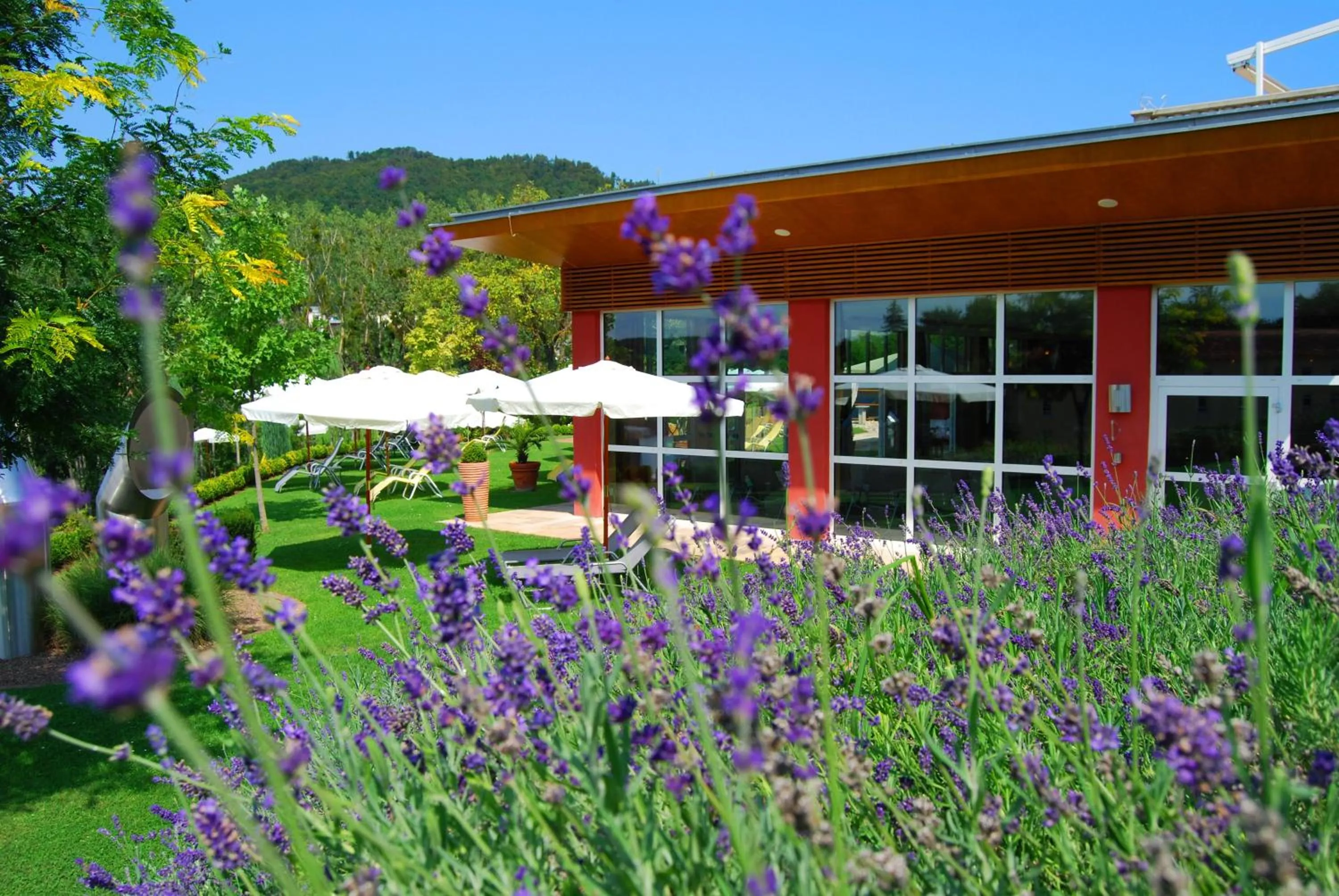 Garden in Hotel Stenitzer