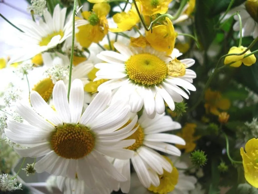 Spring in Burghotel Münzenberg