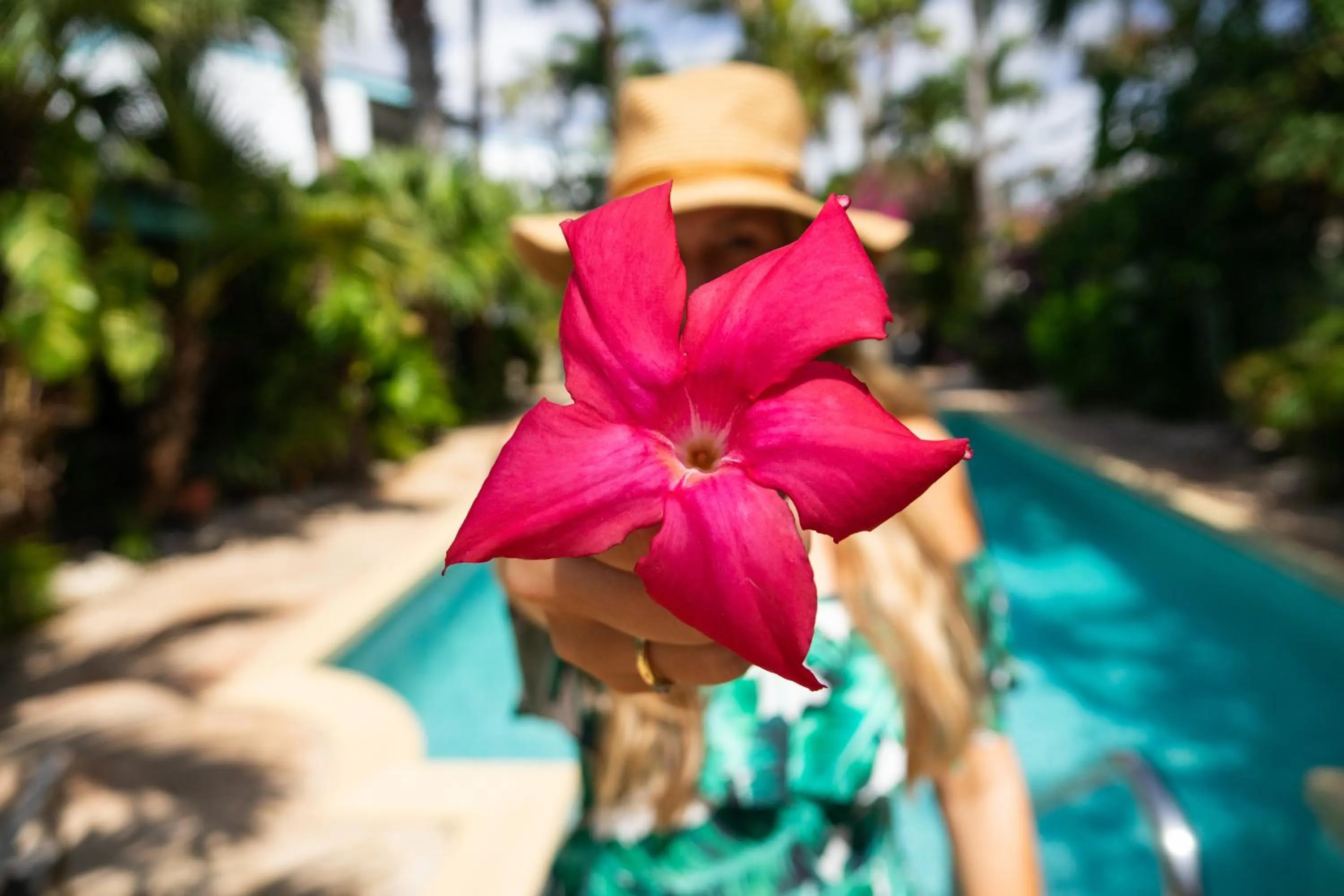 Pool view in Paradera Park Aruba