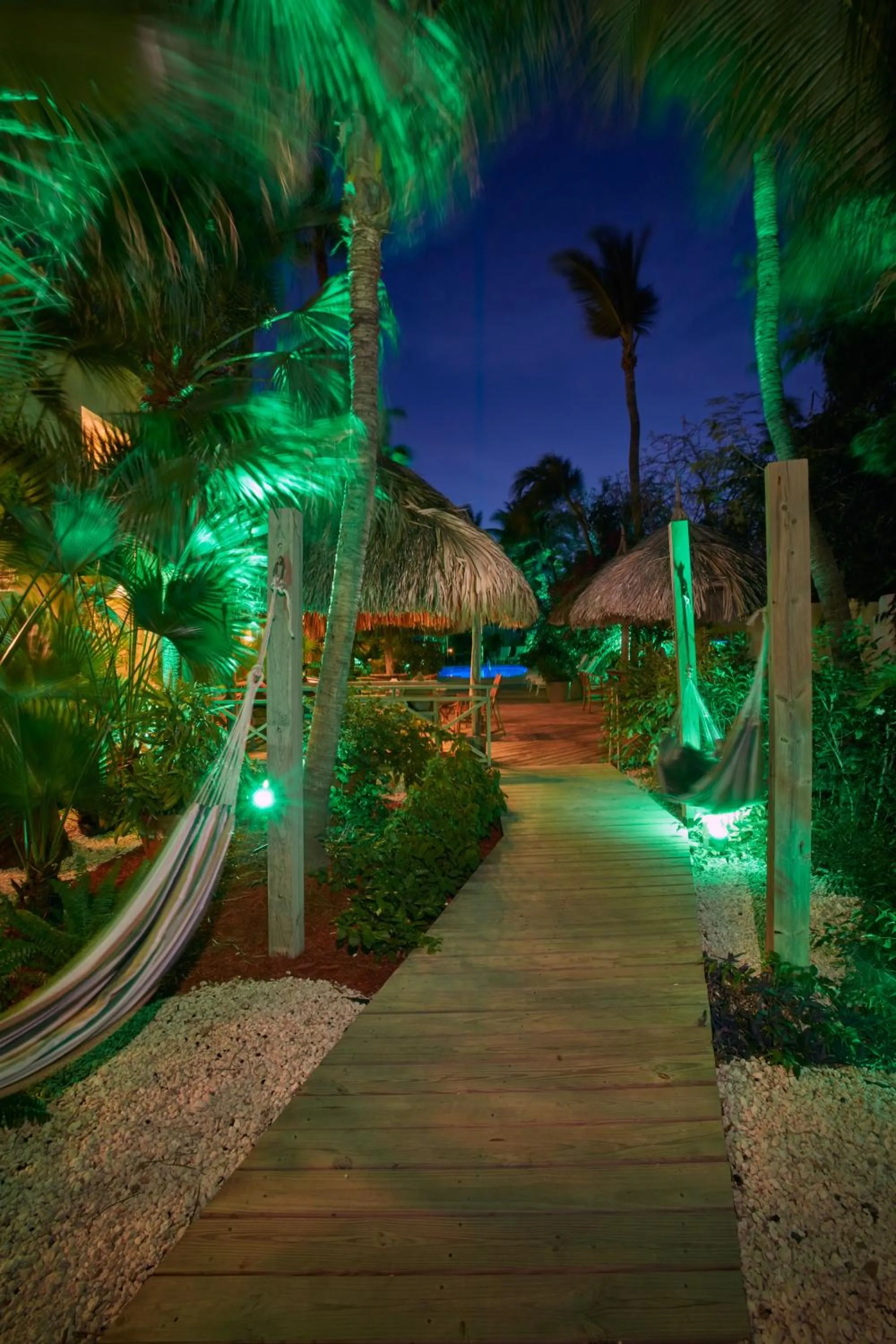 Garden in Paradera Park Aruba