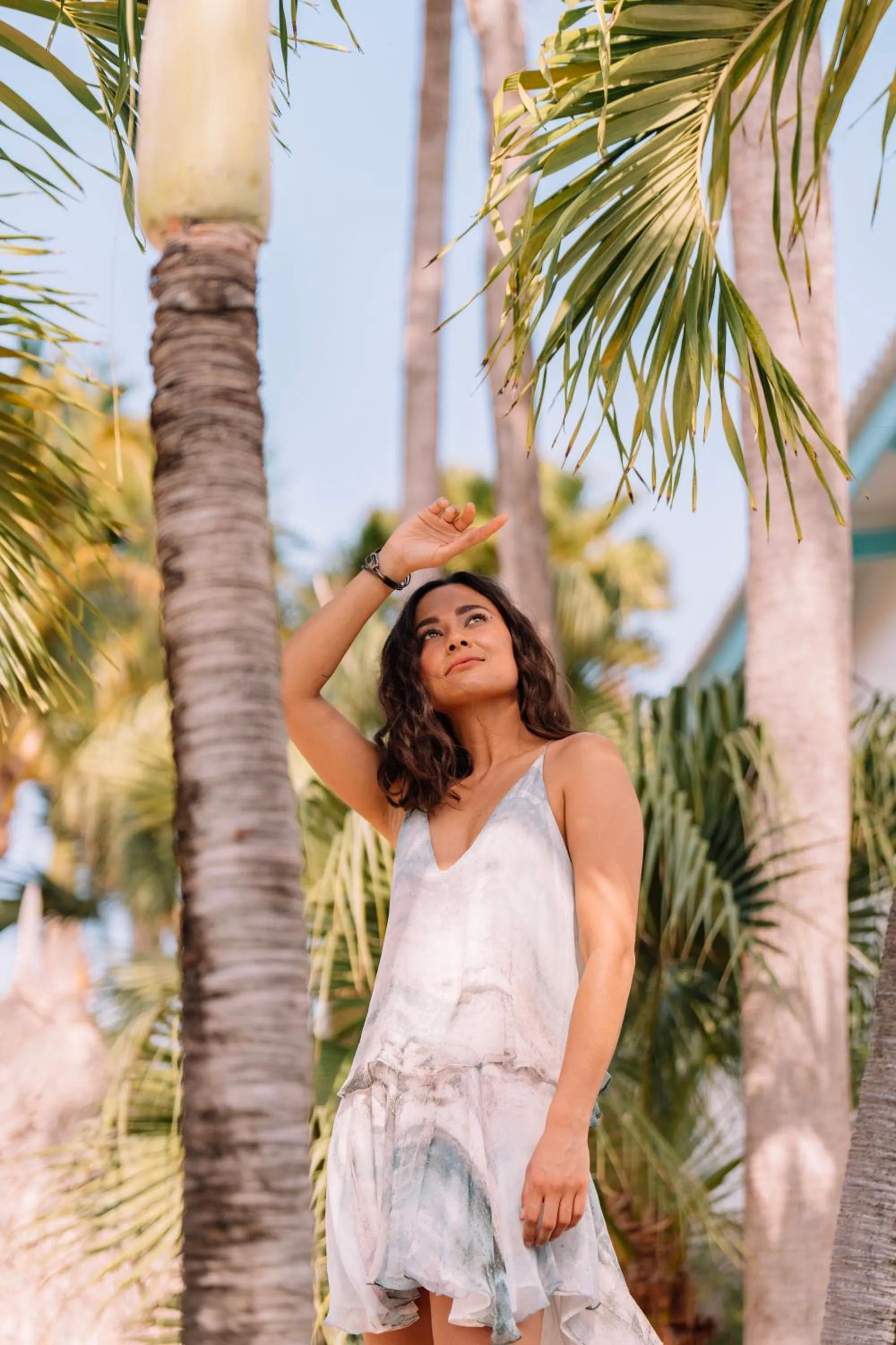 Garden in Paradera Park Aruba