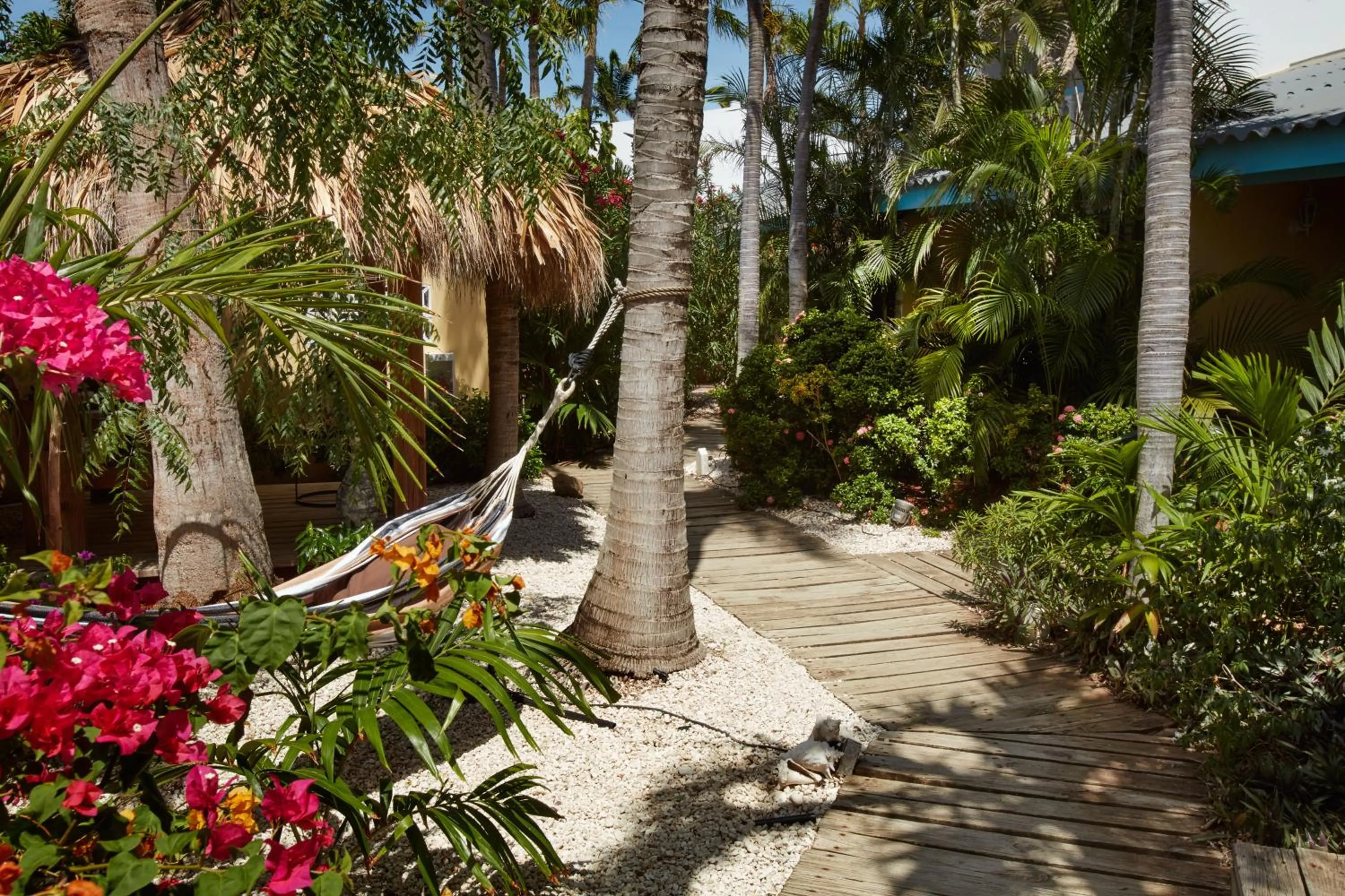 Garden in Paradera Park Aruba