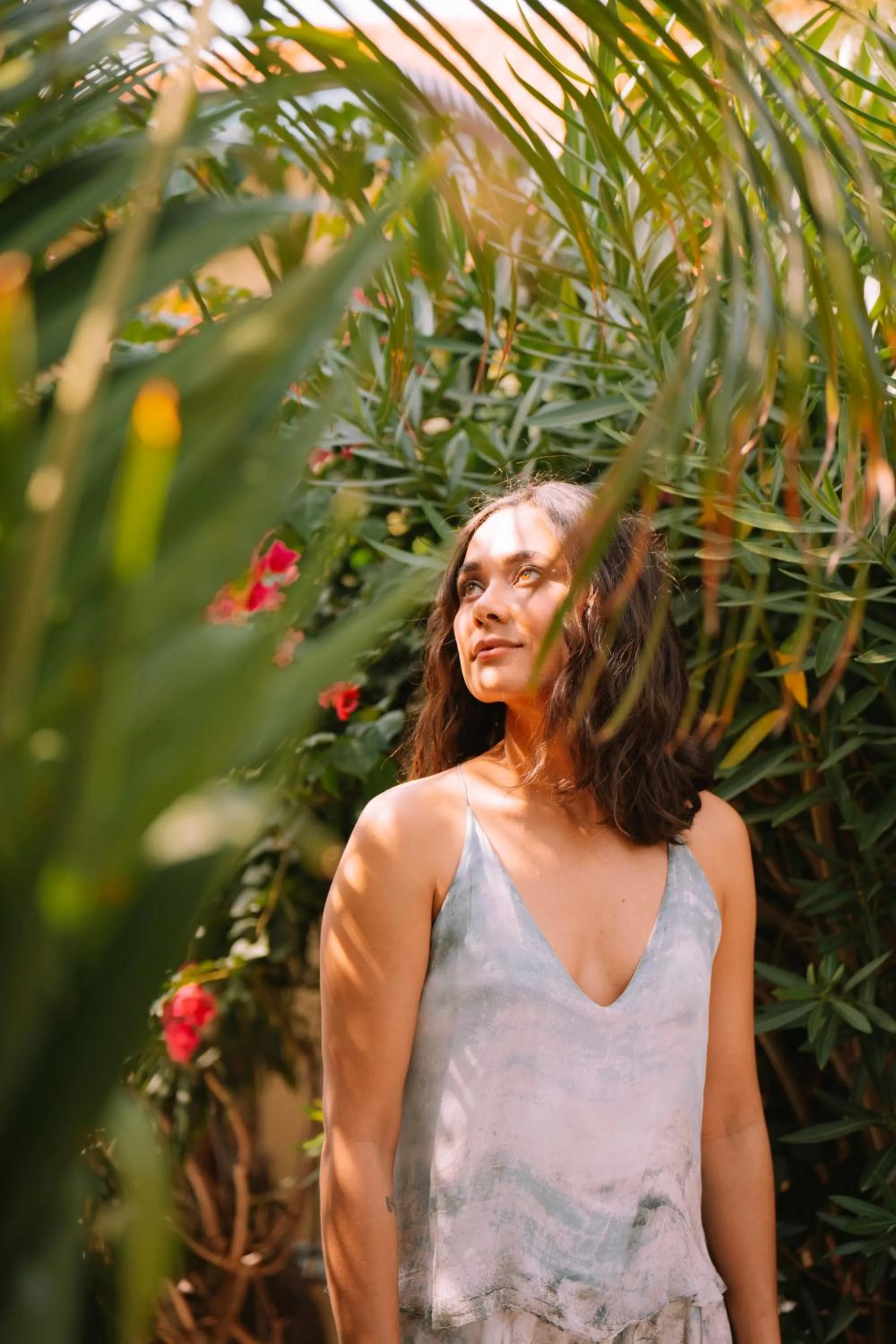 Garden in Paradera Park Aruba