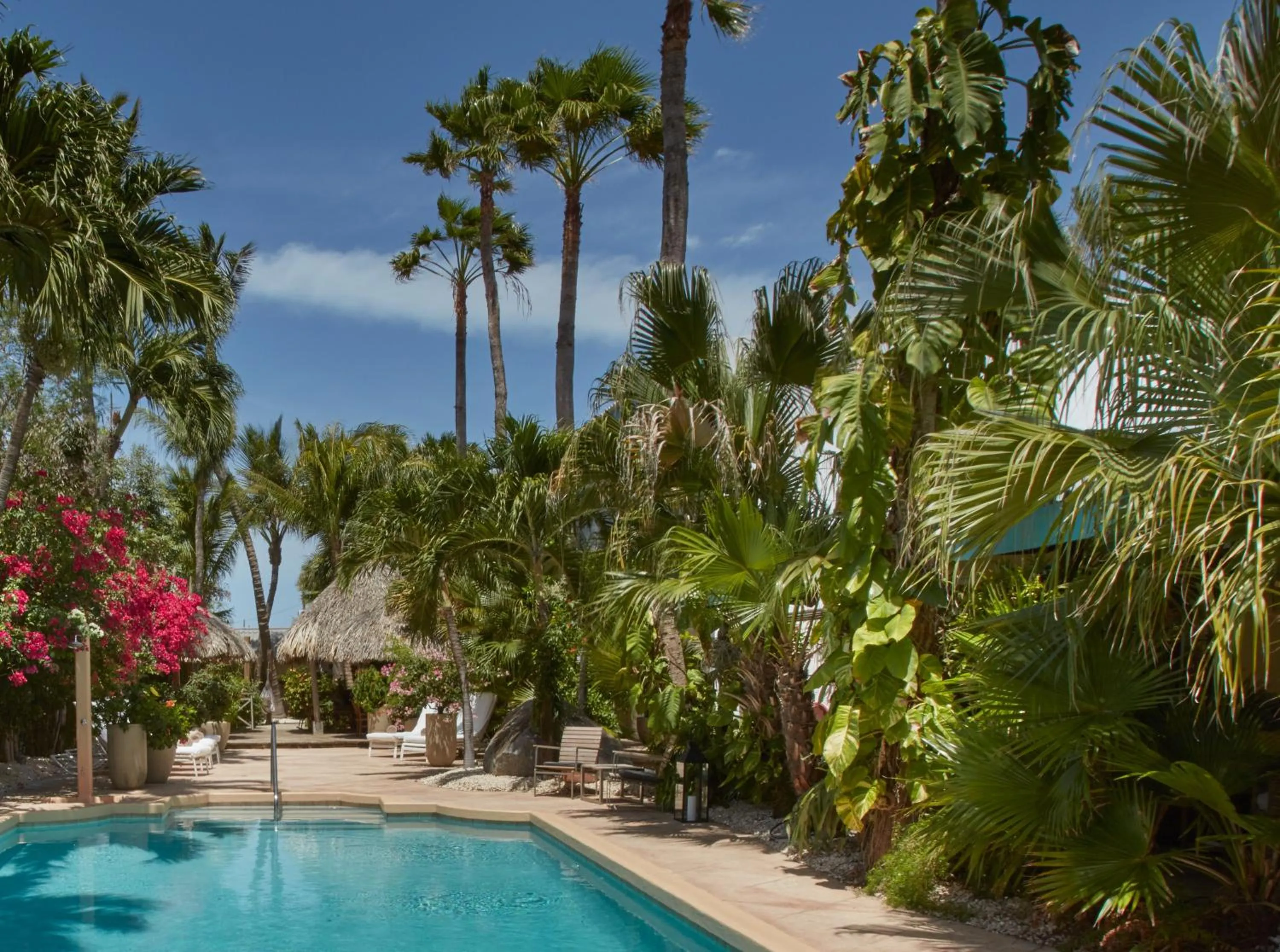 Garden in Paradera Park Aruba