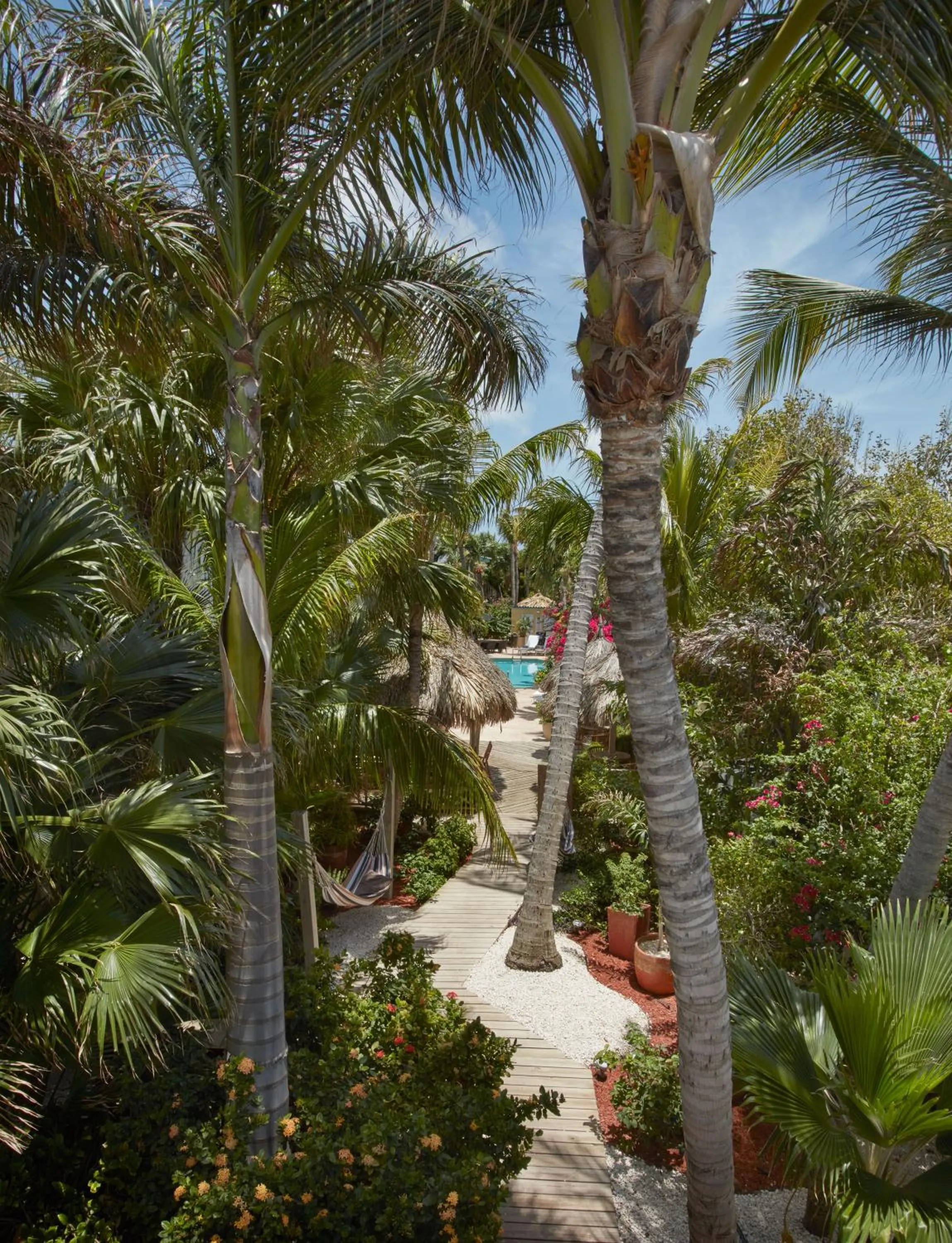Garden in Paradera Park Aruba