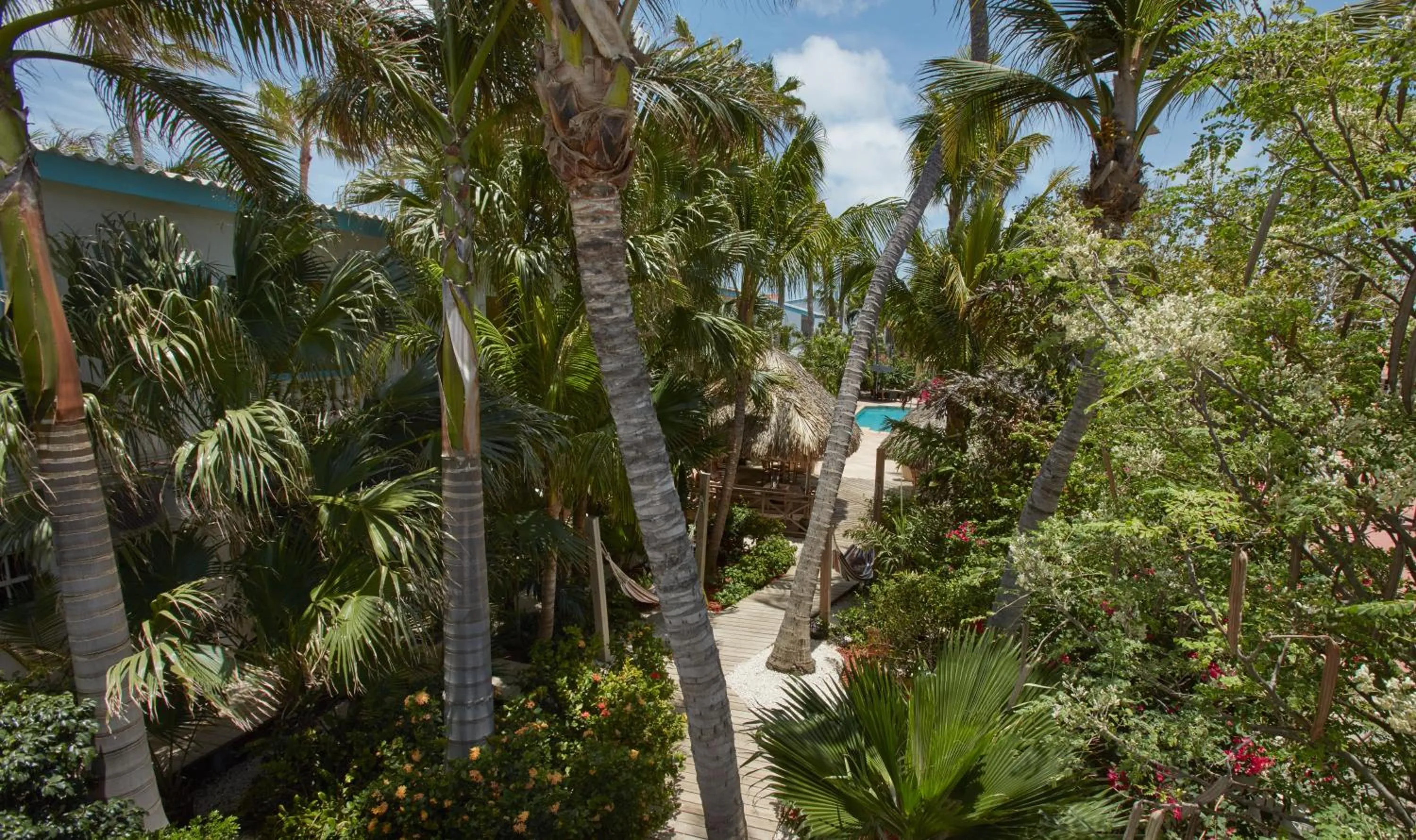 Garden in Paradera Park Aruba