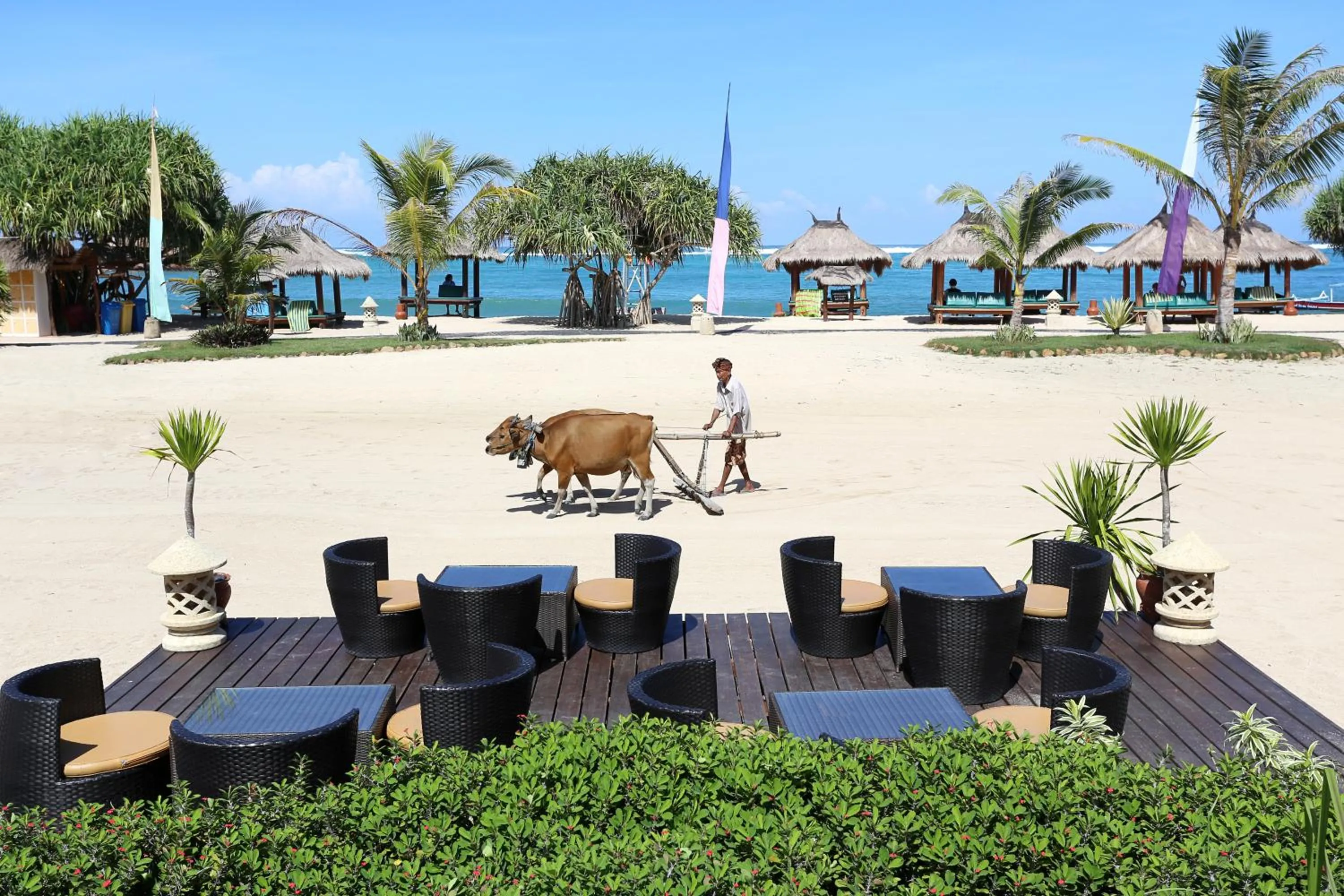 Lounge or bar in Novotel Lombok Resort & Villas