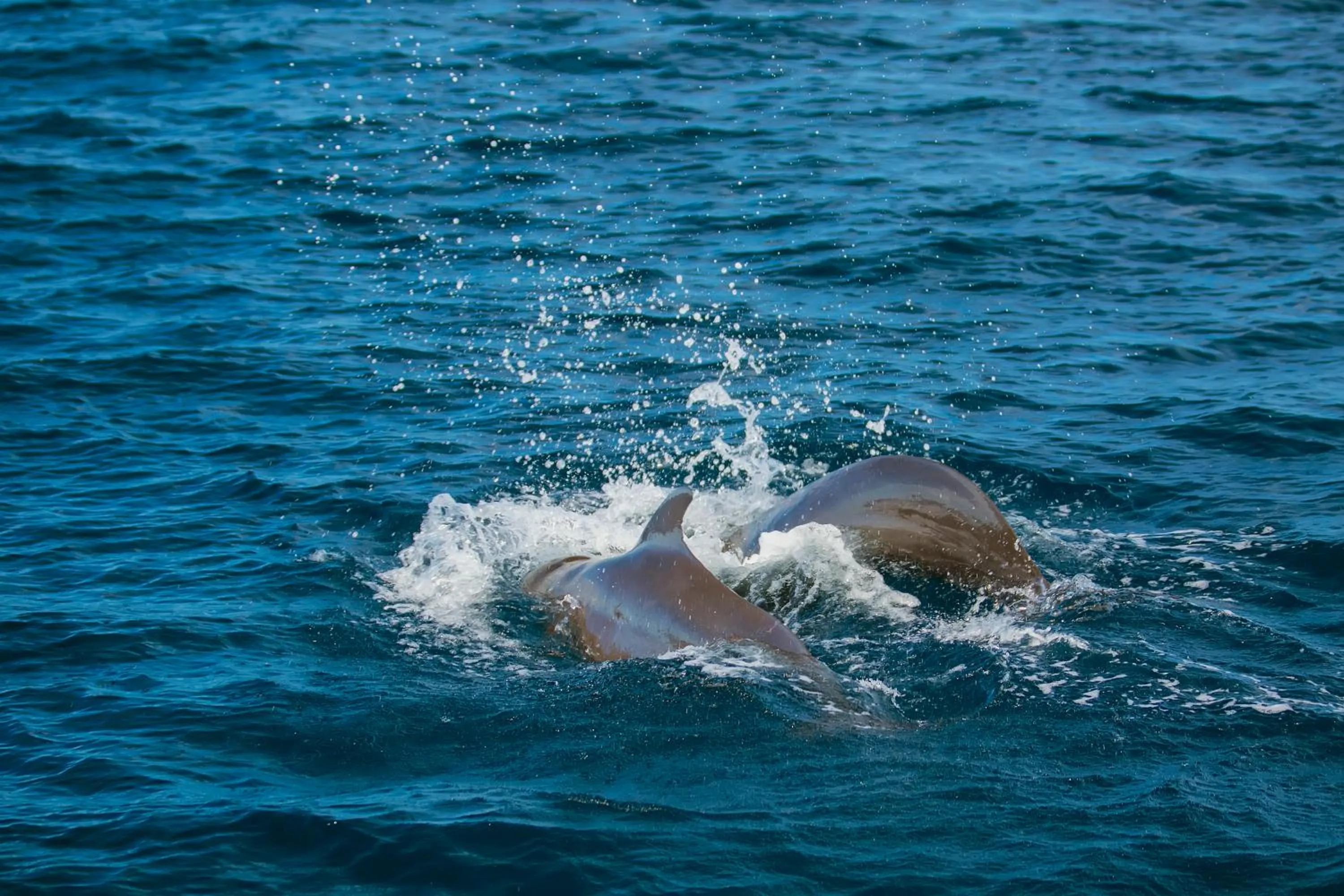 Off site in Paguro Beach Inn