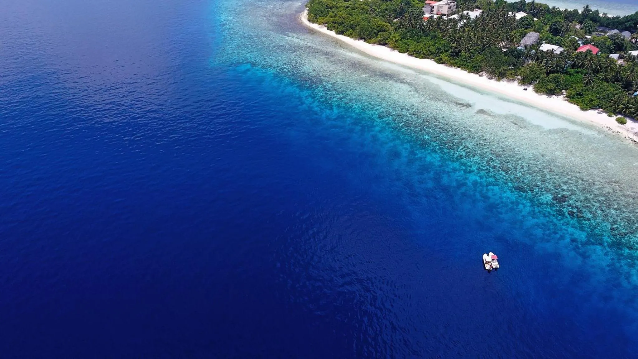 Beach in Paguro Beach Inn