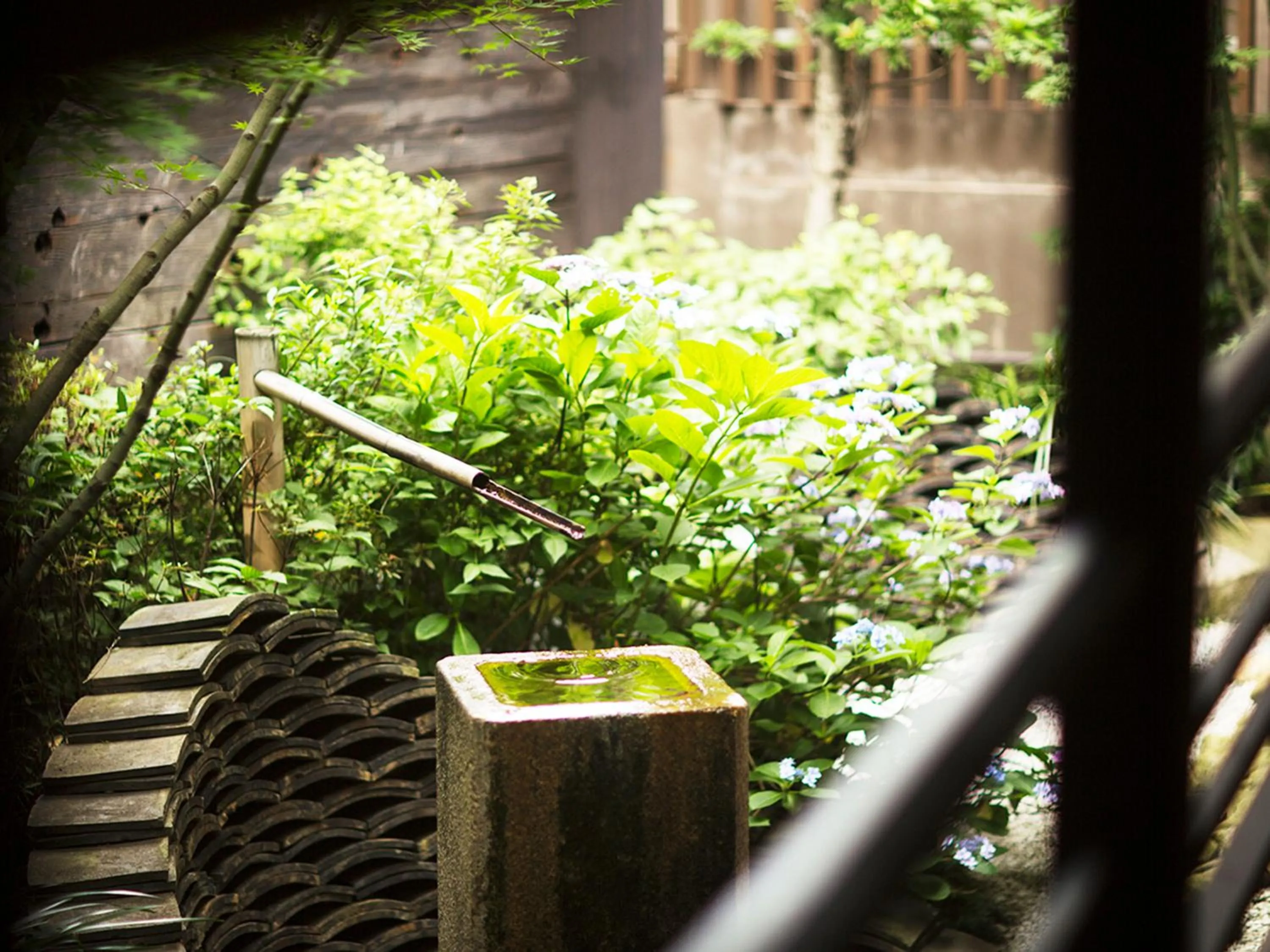 Lobby or reception in Migiwatei Ochi Kochi