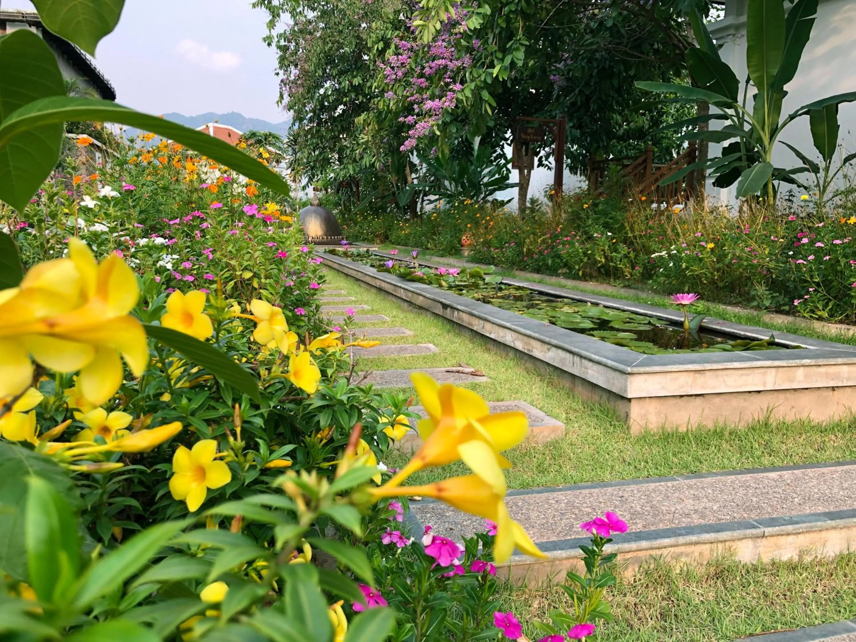Garden in Le Grand Pakbeng
