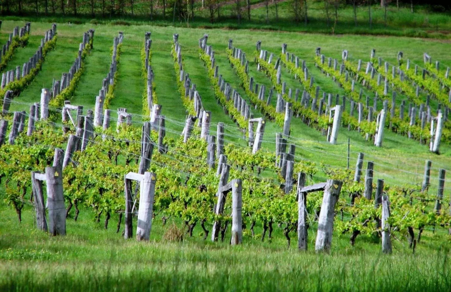 Other in Sienna Lodge