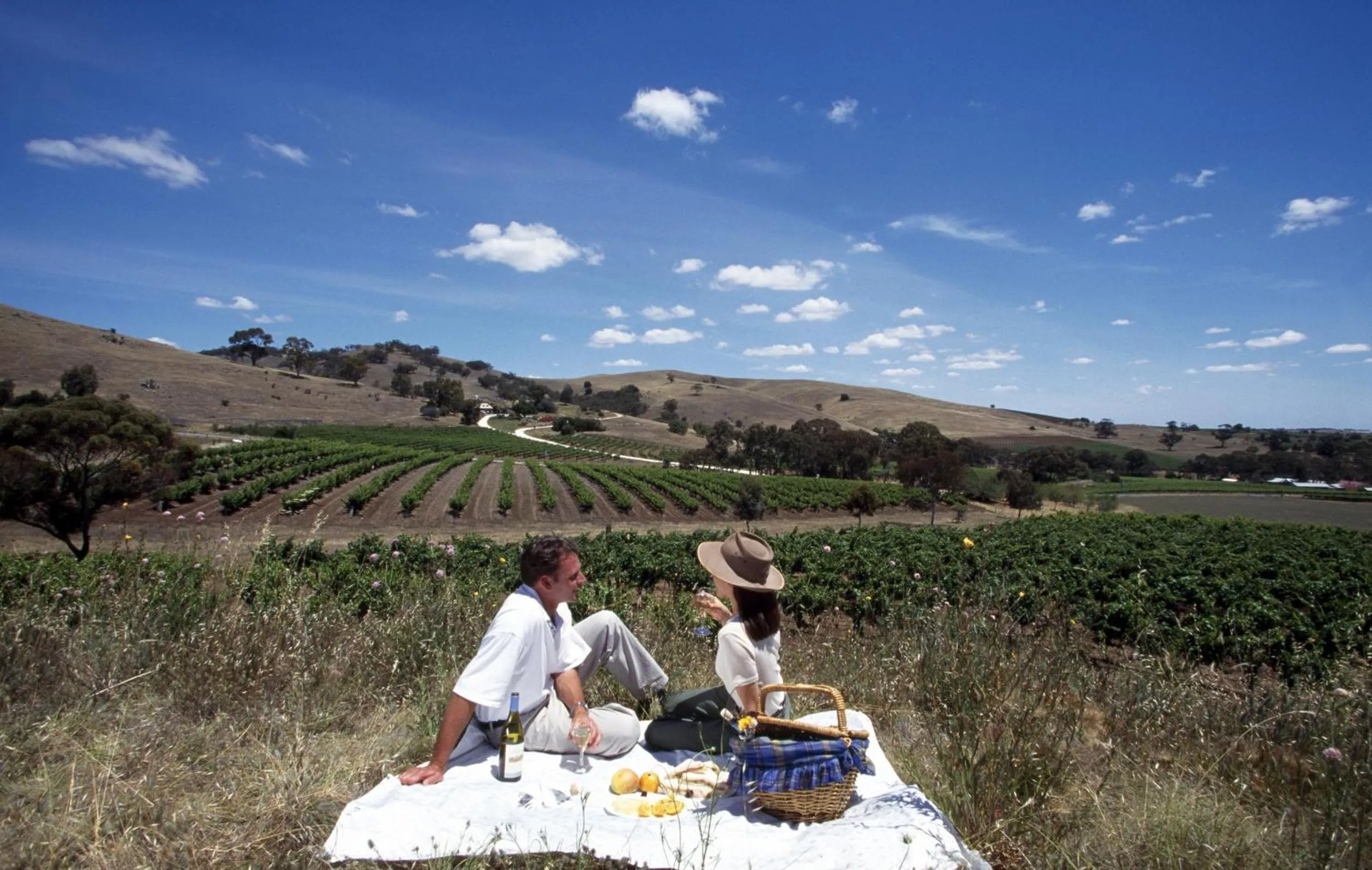 Neighbourhood in Sienna Lodge
