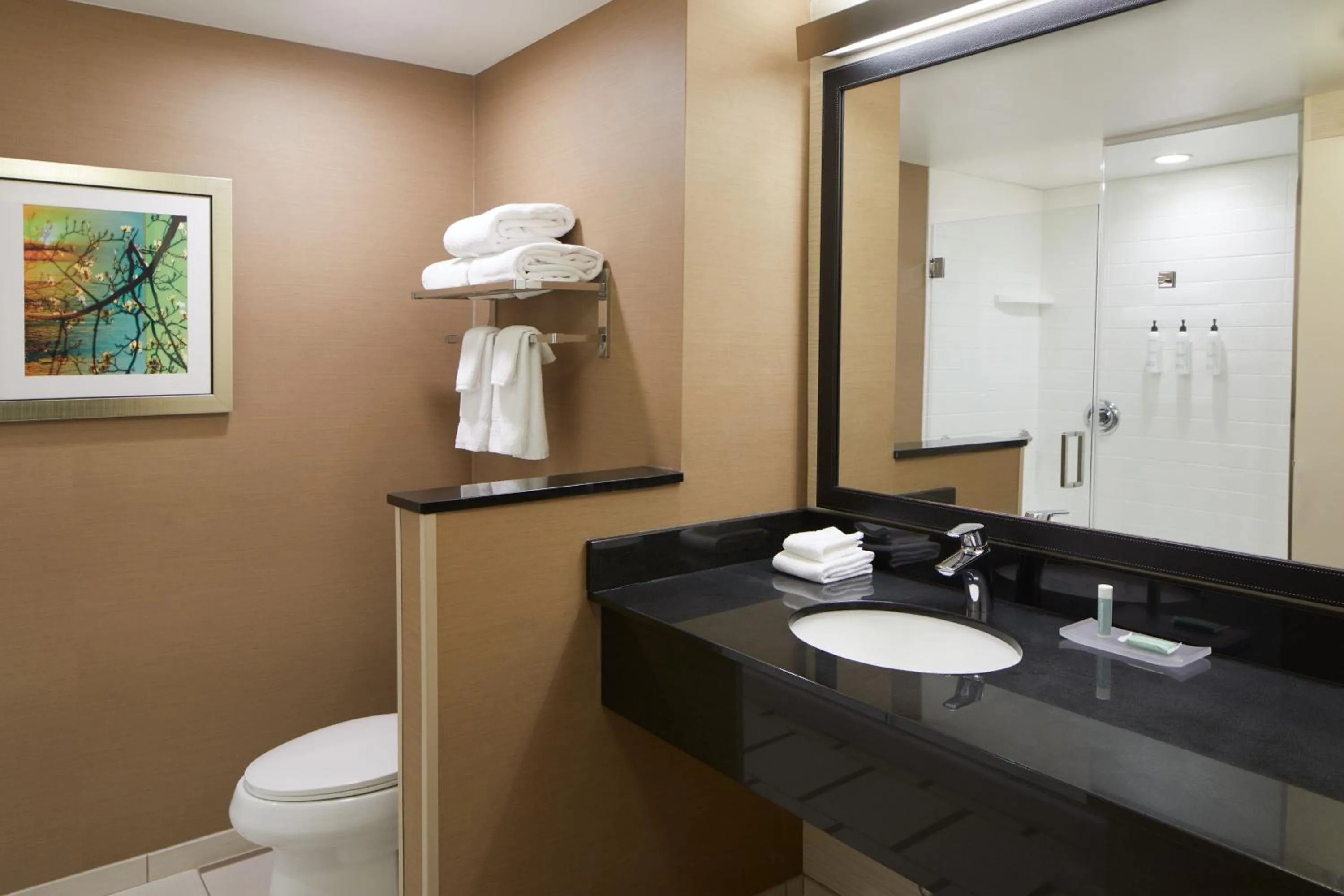 Bathroom in Fairfield Inn & Suites by Marriott Atlanta Lithia Springs