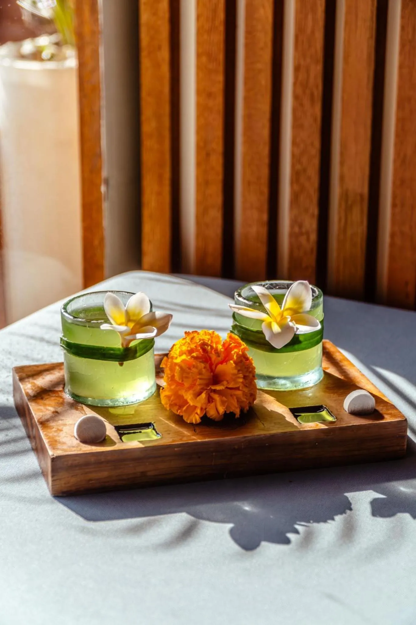 Area and facilities in Sana Vie Villa Seminyak by Ini Vie Hospitality