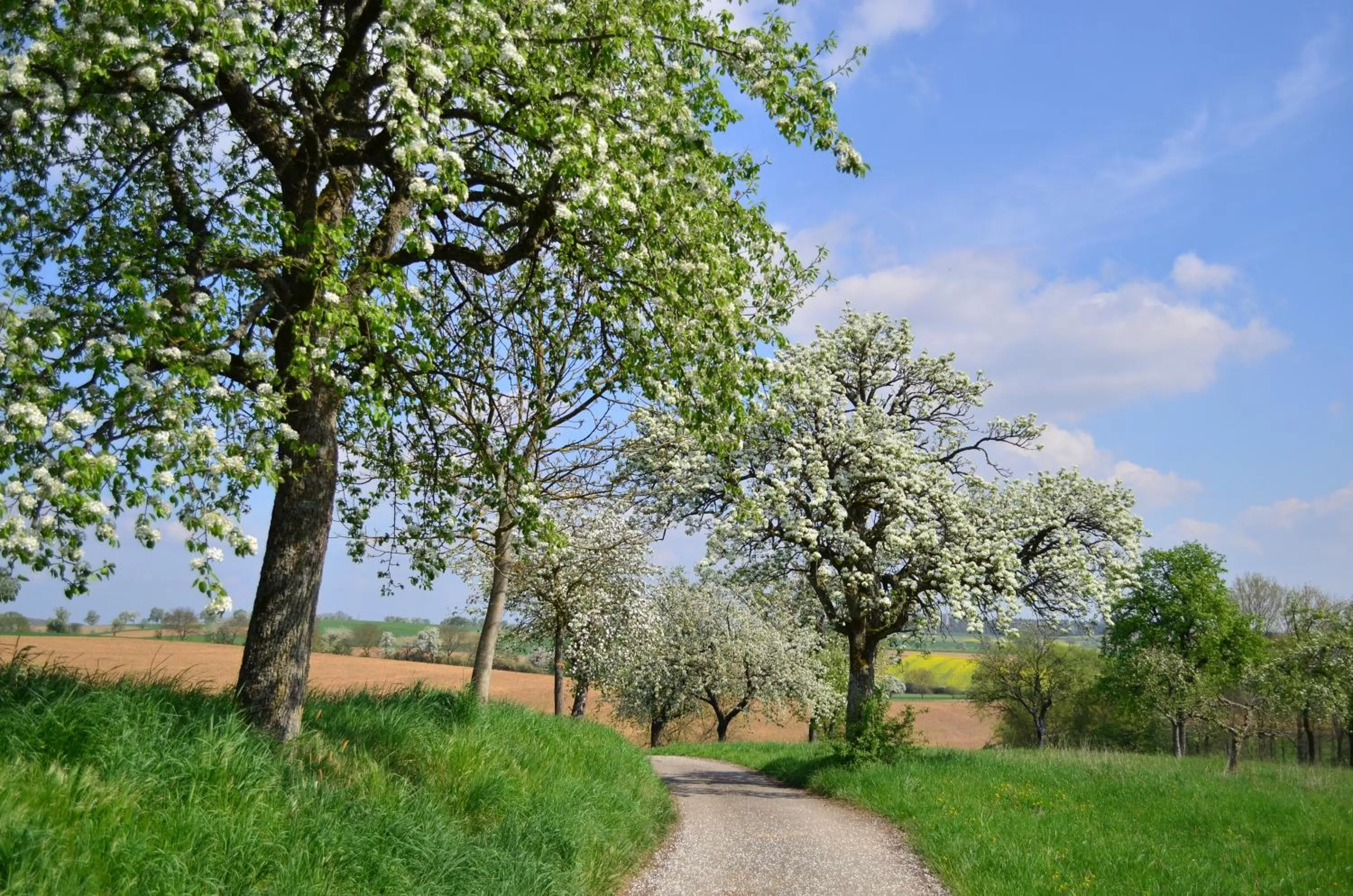 Hiking in Hotel KAMPS